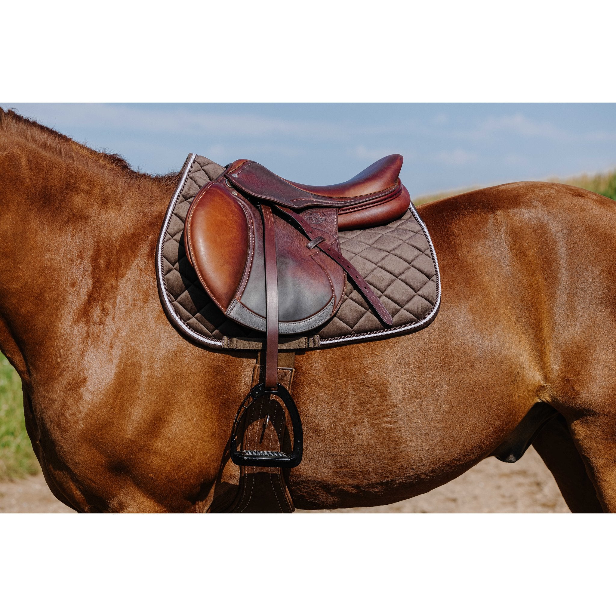 RIDING WORLD Velours Hoppschabrak