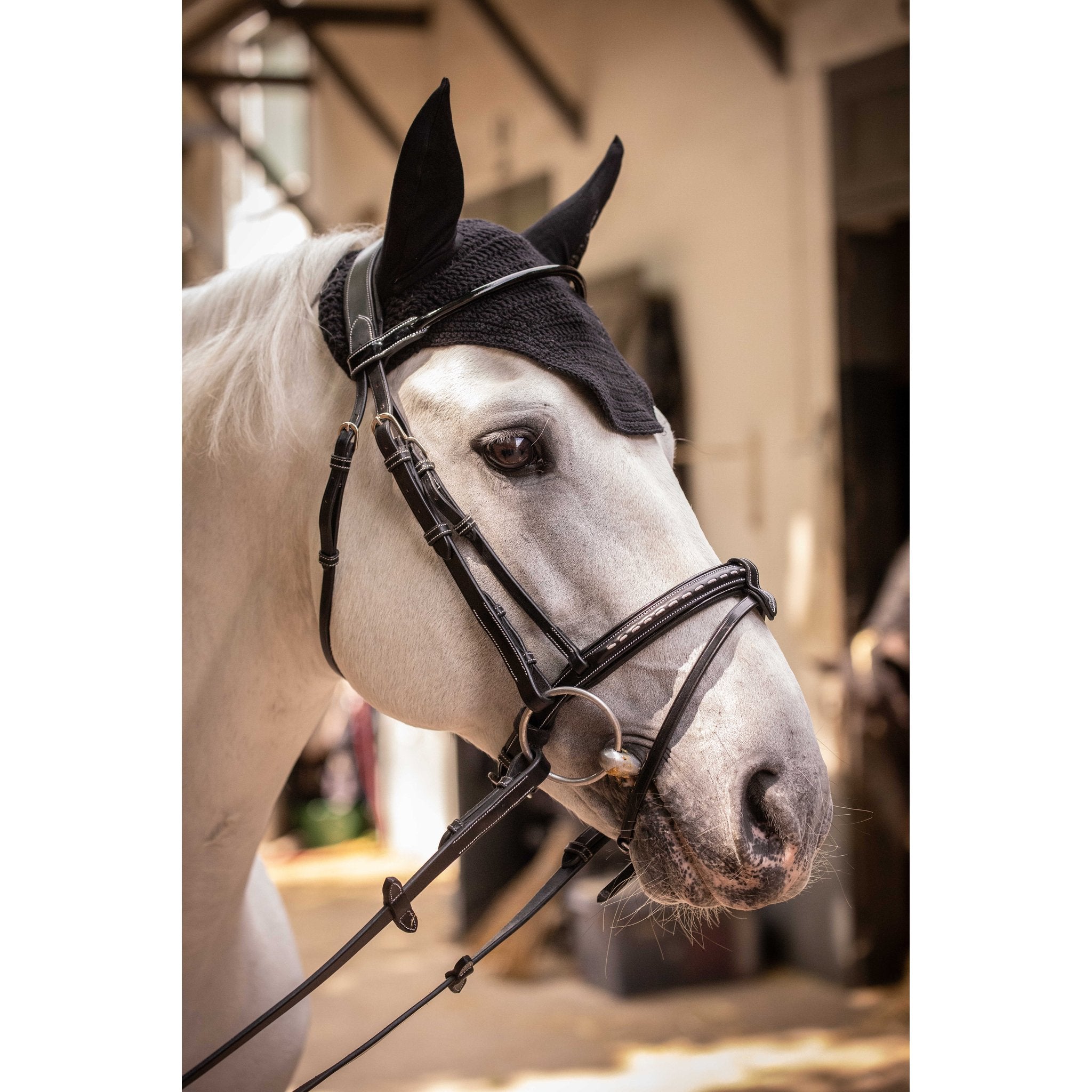 PADDOCK Pro coton luva