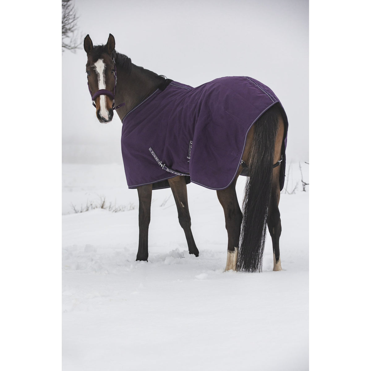 Horse Guard Sophie 600D stalltäcke 100g