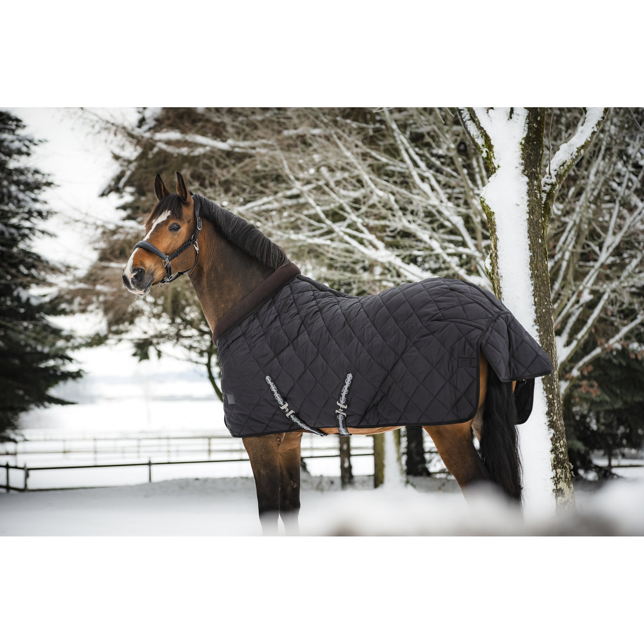 Catago Denver stalltäcken 500 g
