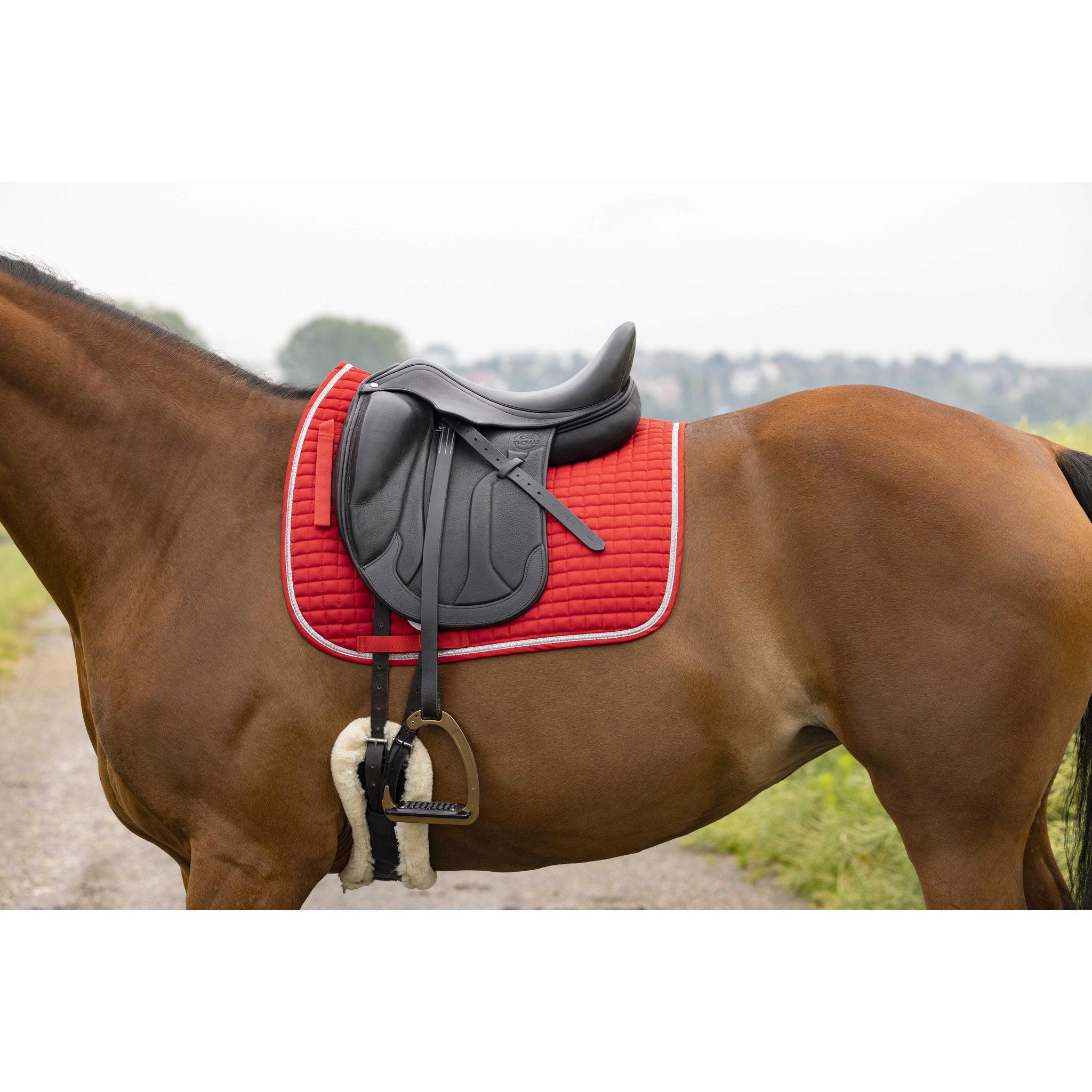 RIDING WORLD Girly Dressyrschabrak