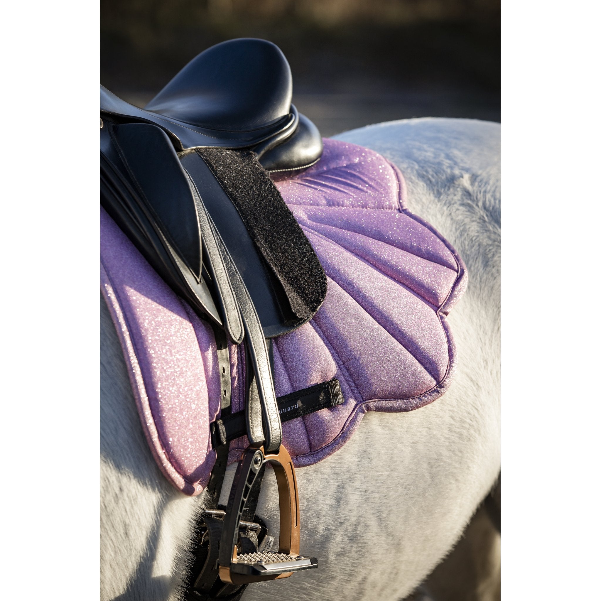Horse Guard Wing Schabrak