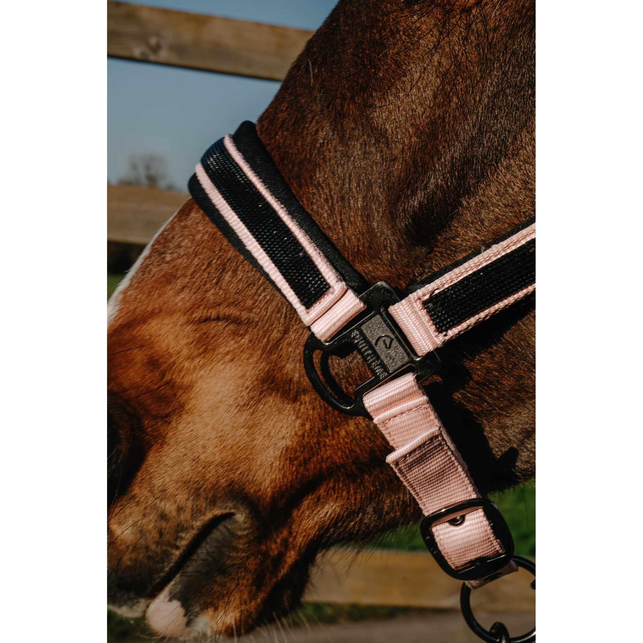 Equitheme Strass grimma