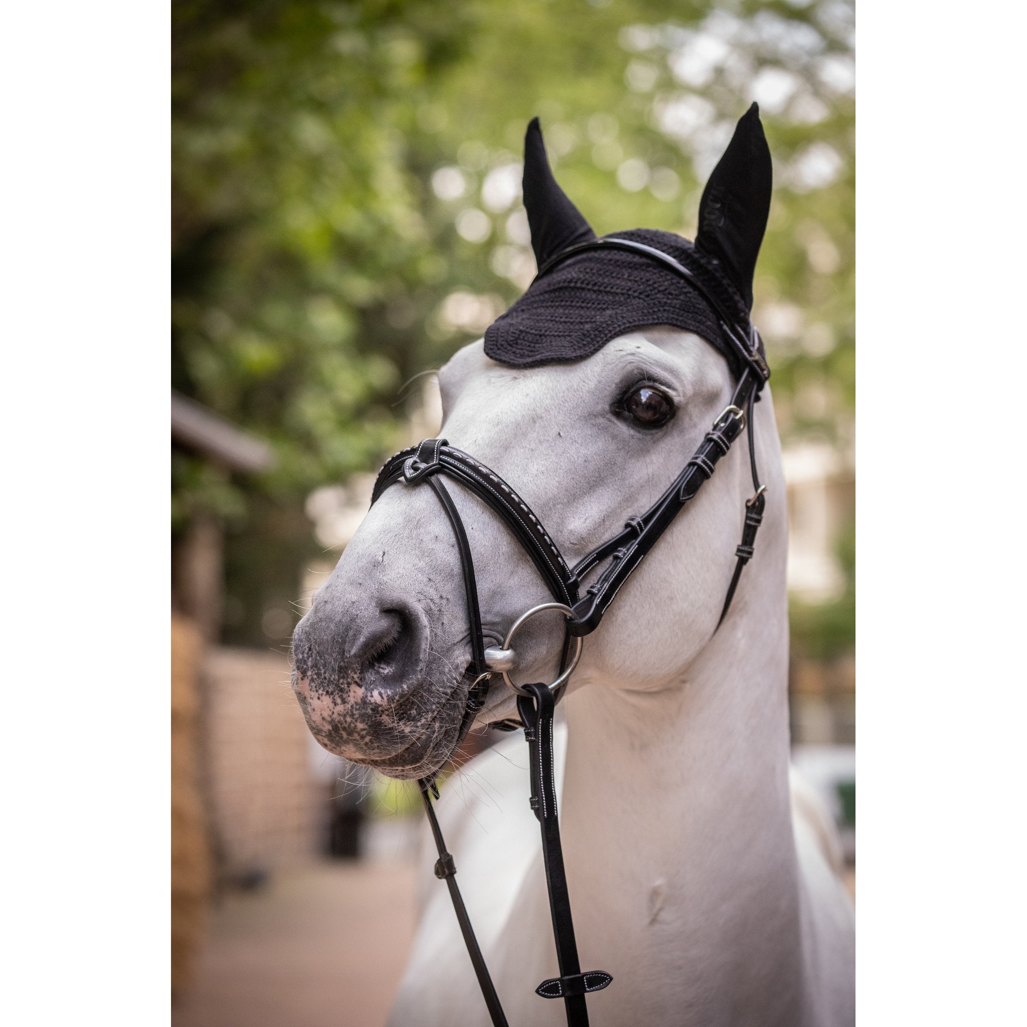 PADDOCK Pro coton luva