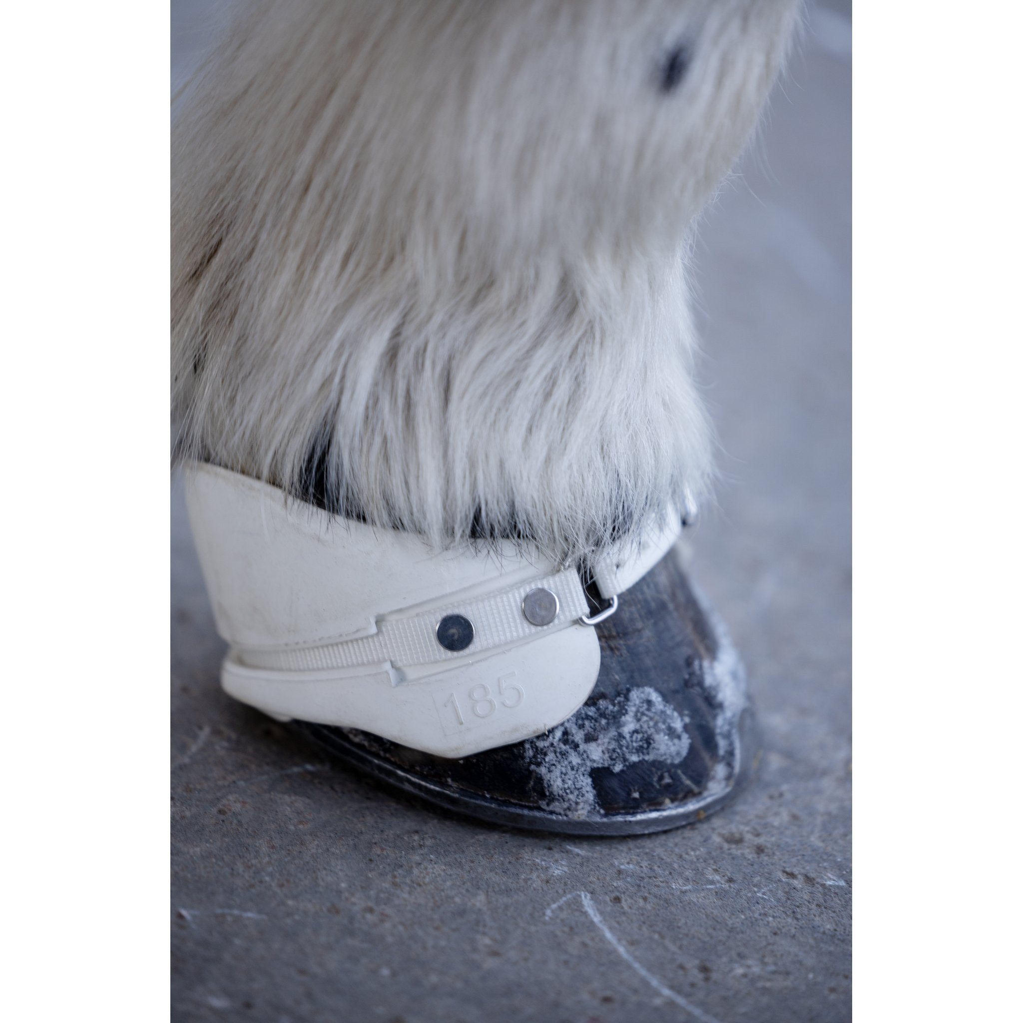 Catago Icelandic viktboots