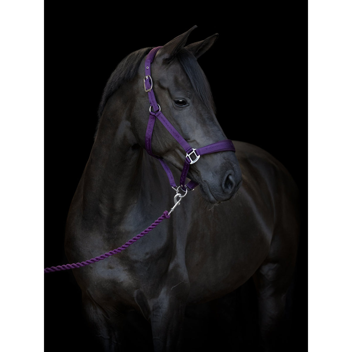 HorseGuard Diya 2.0 grimma