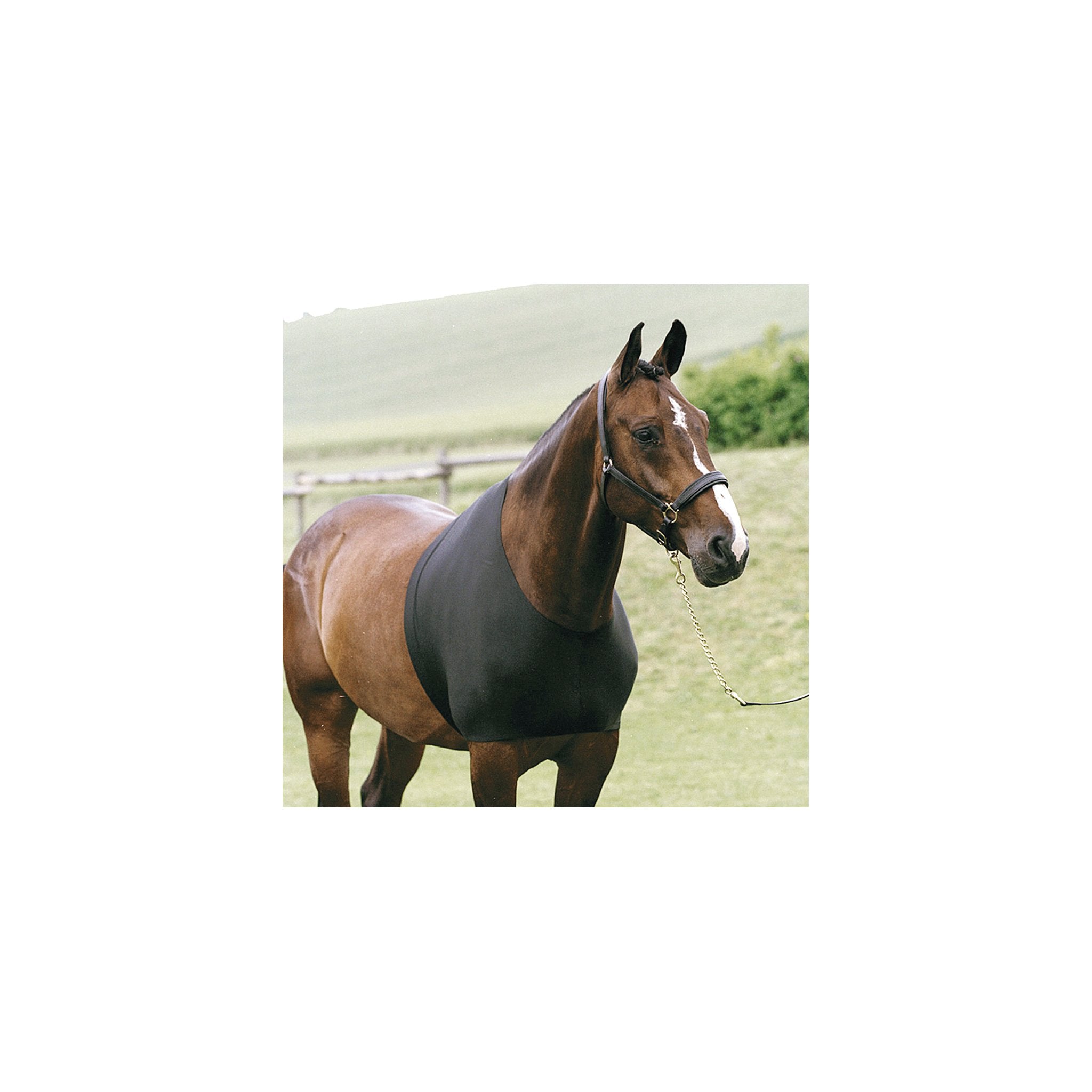 HorseGuard Bogskydd