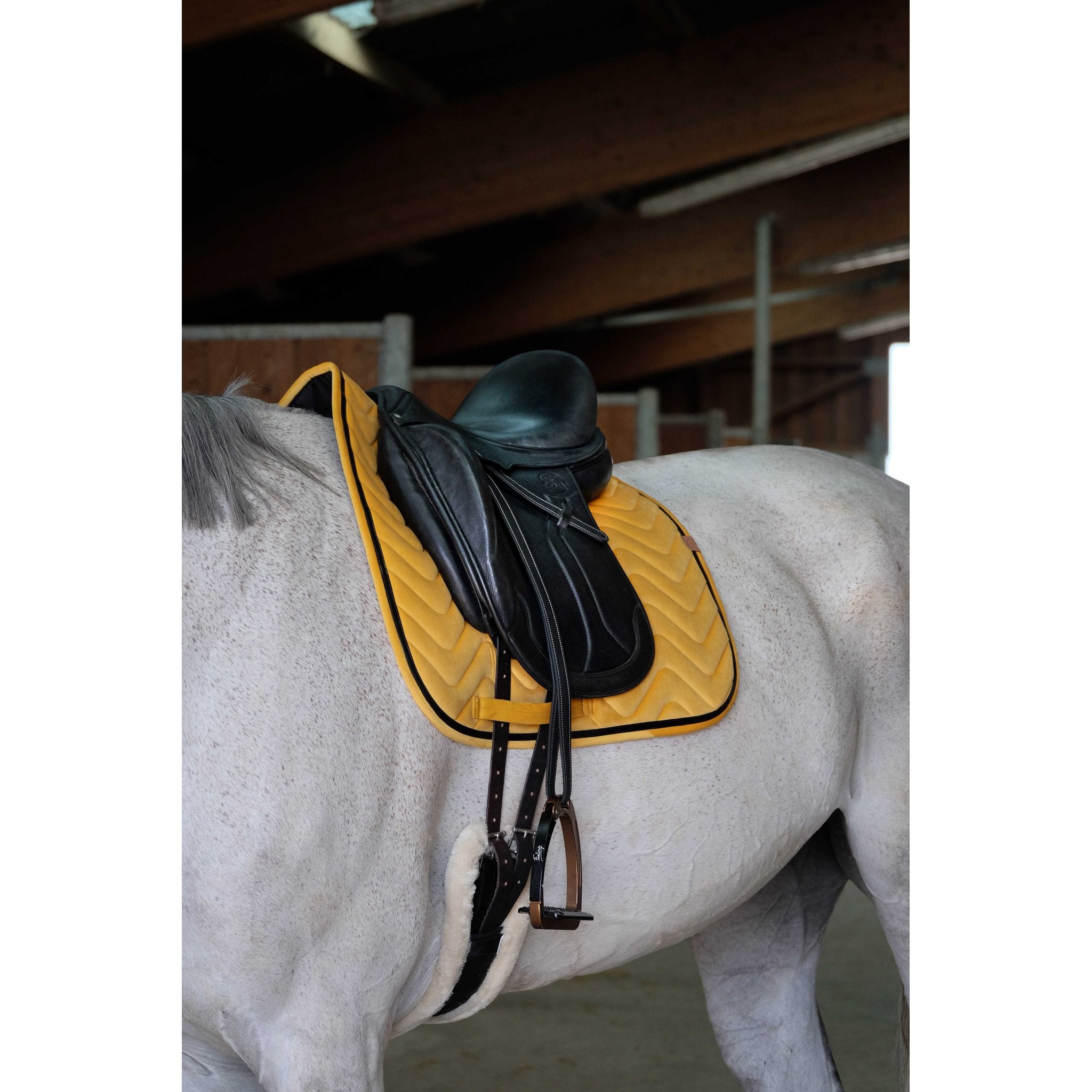 Equithème Glossy Schabrak Dr