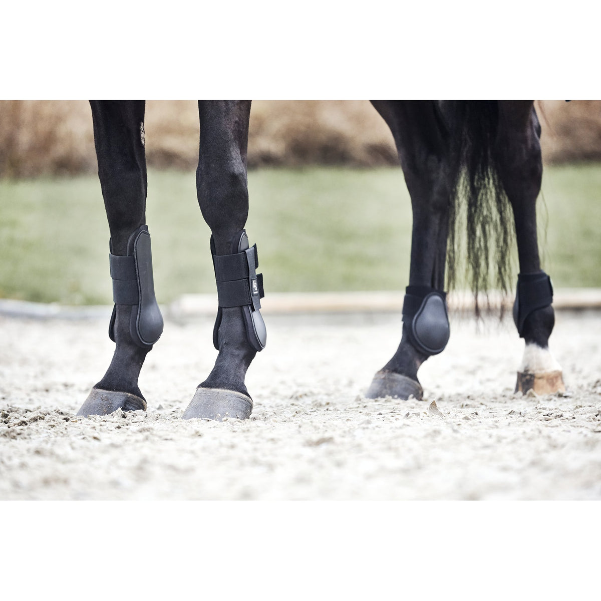 HorseGuard Frambensgamacher