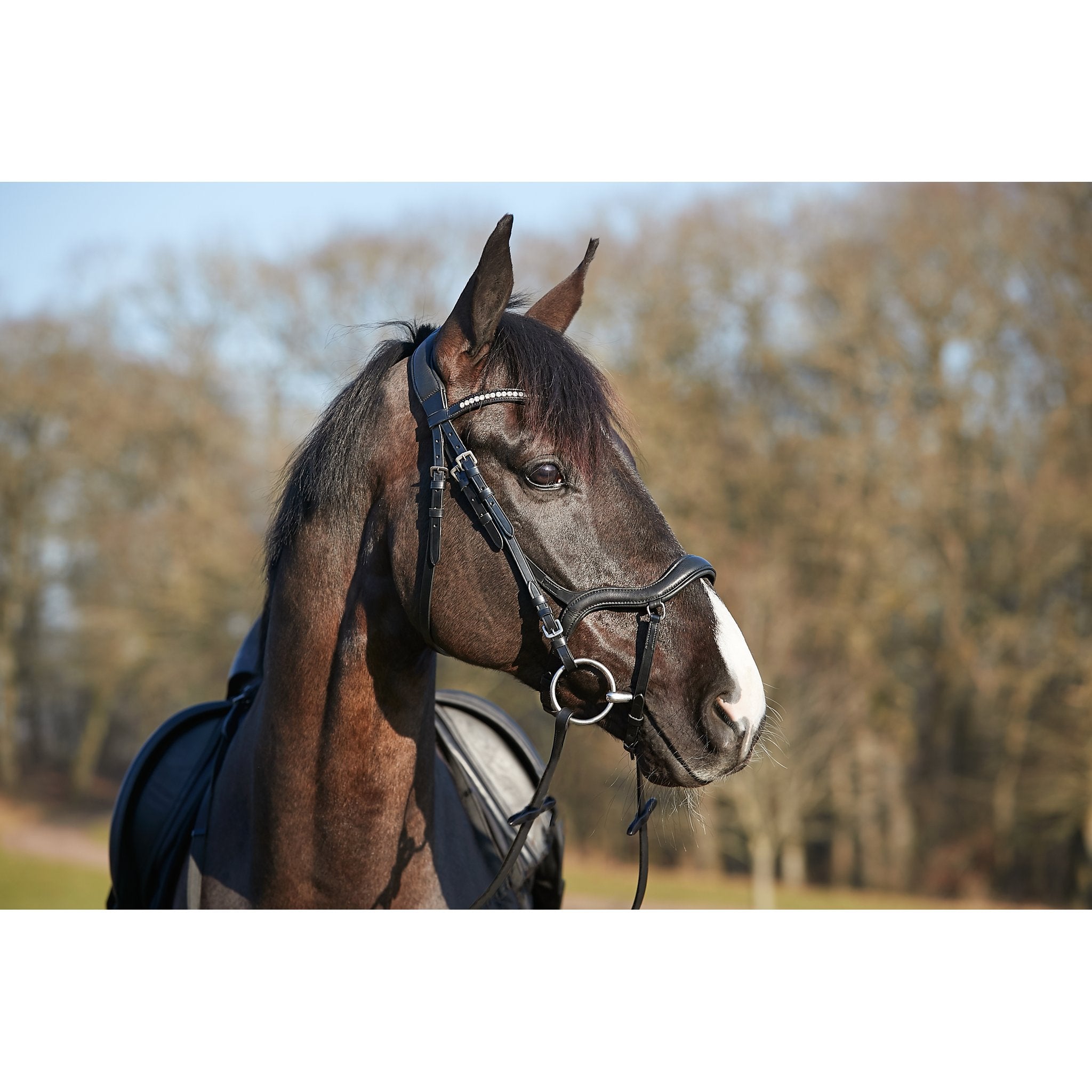 HorseGuard Level träns utan tyglar