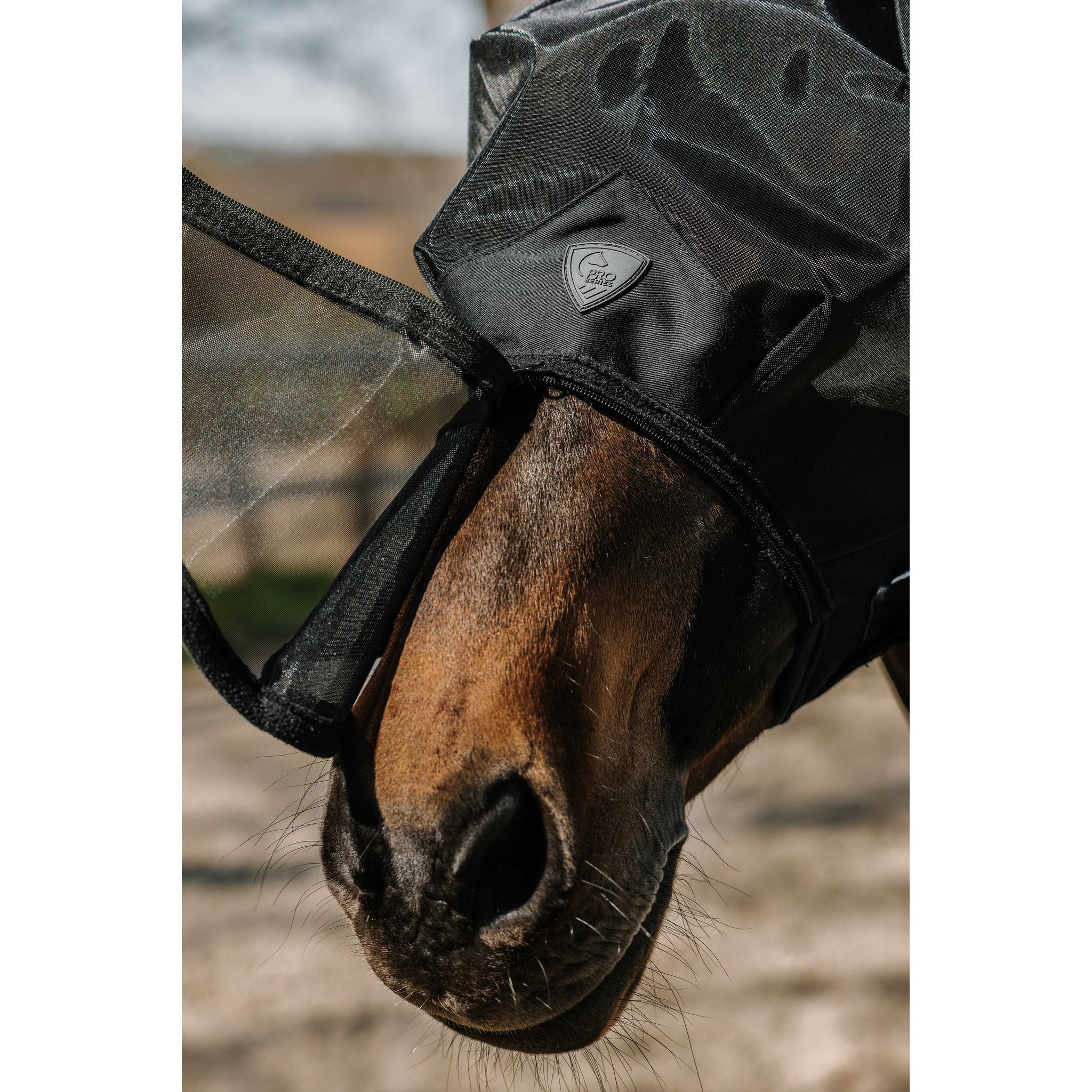Pro Series Extra flugmask