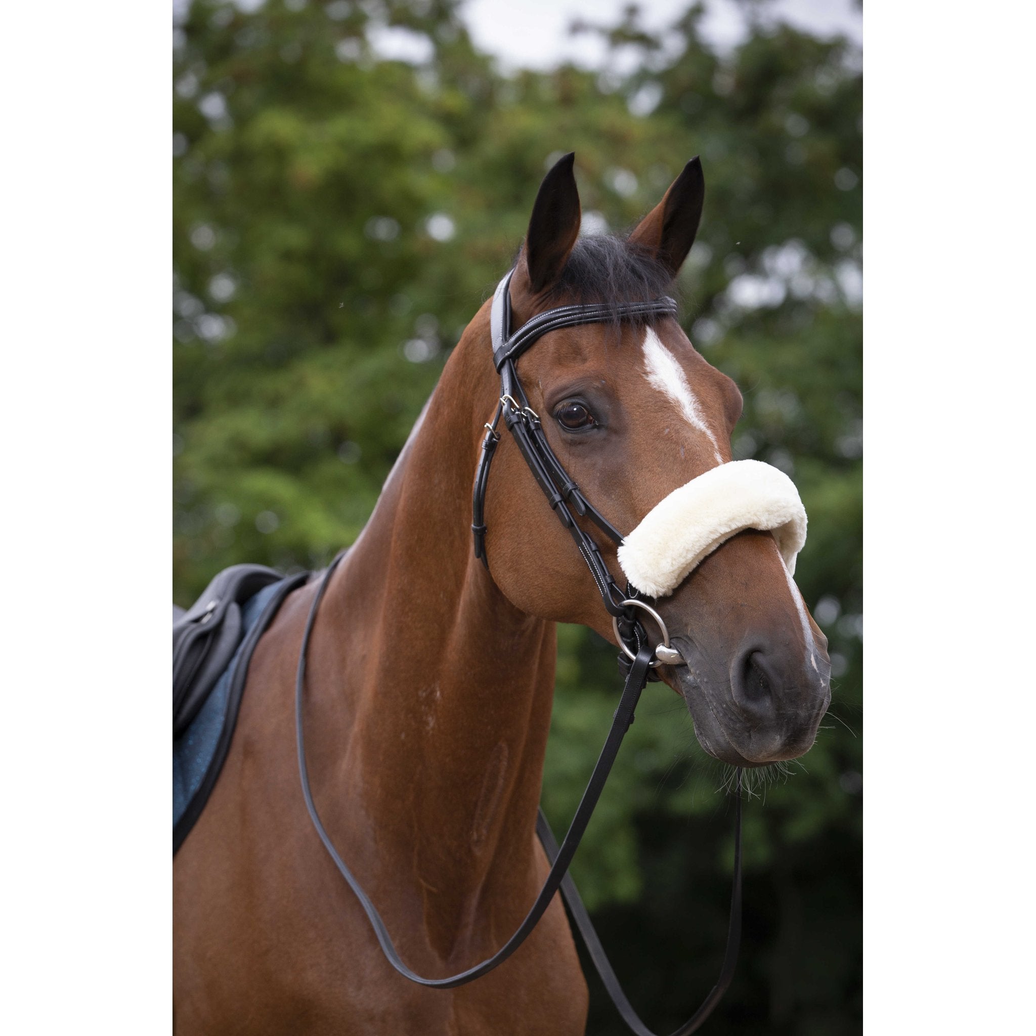 Equithème Teddy nosludd