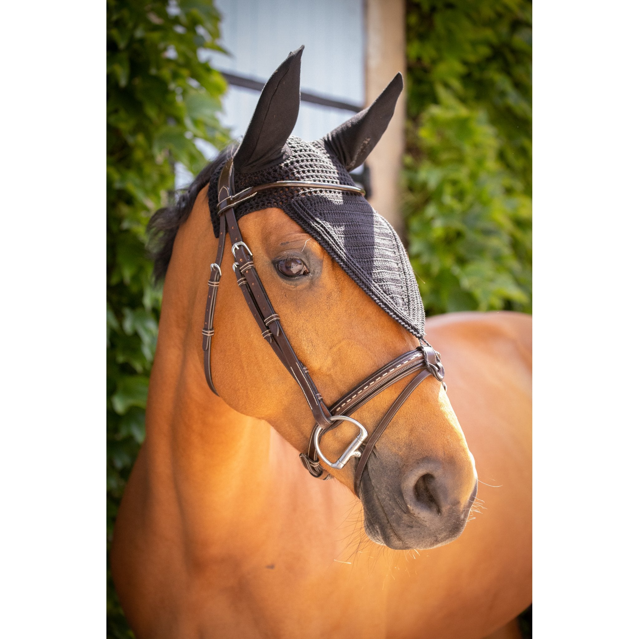 PADDOCK Pro coton luva lång