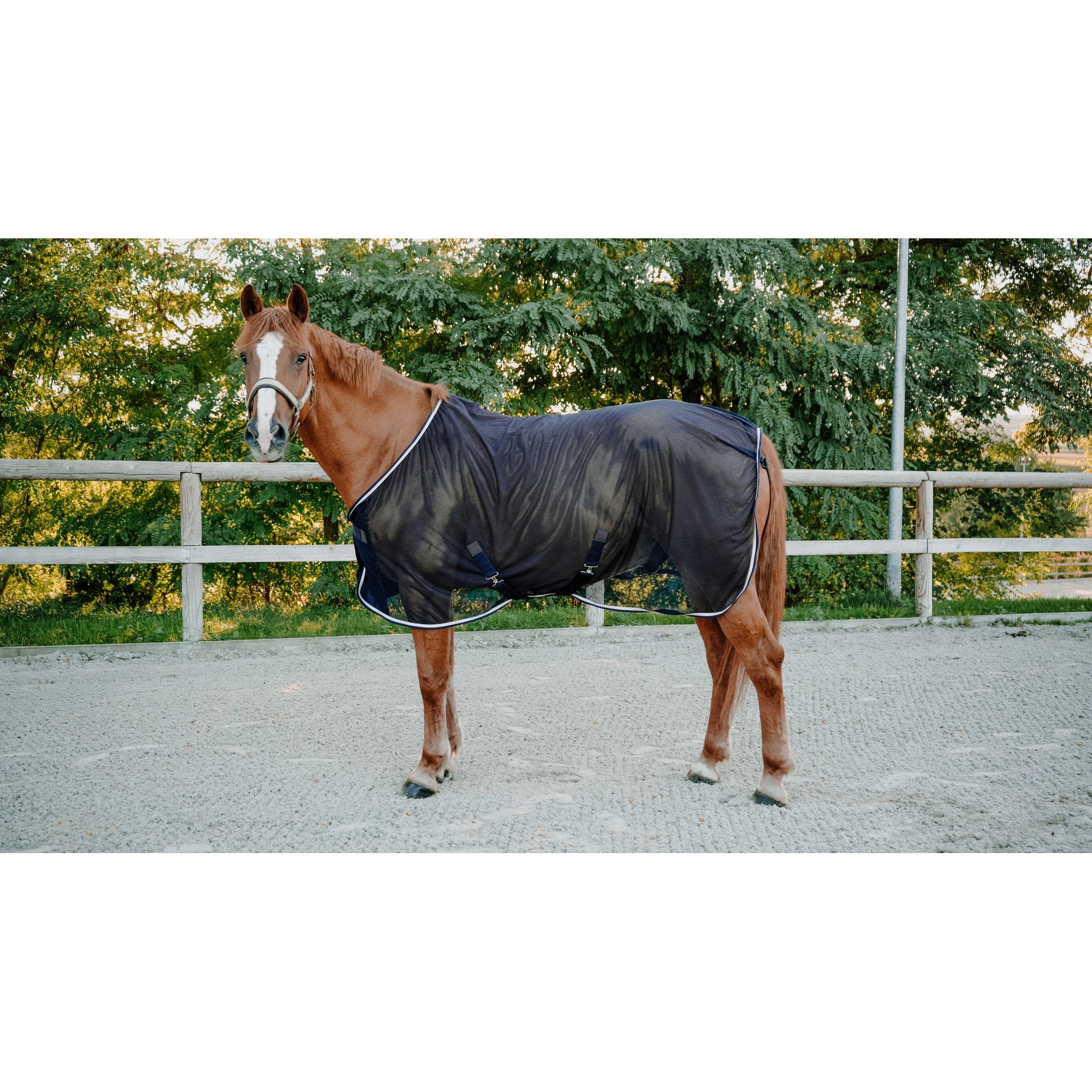 Equitheme Serenity Meshtäcke