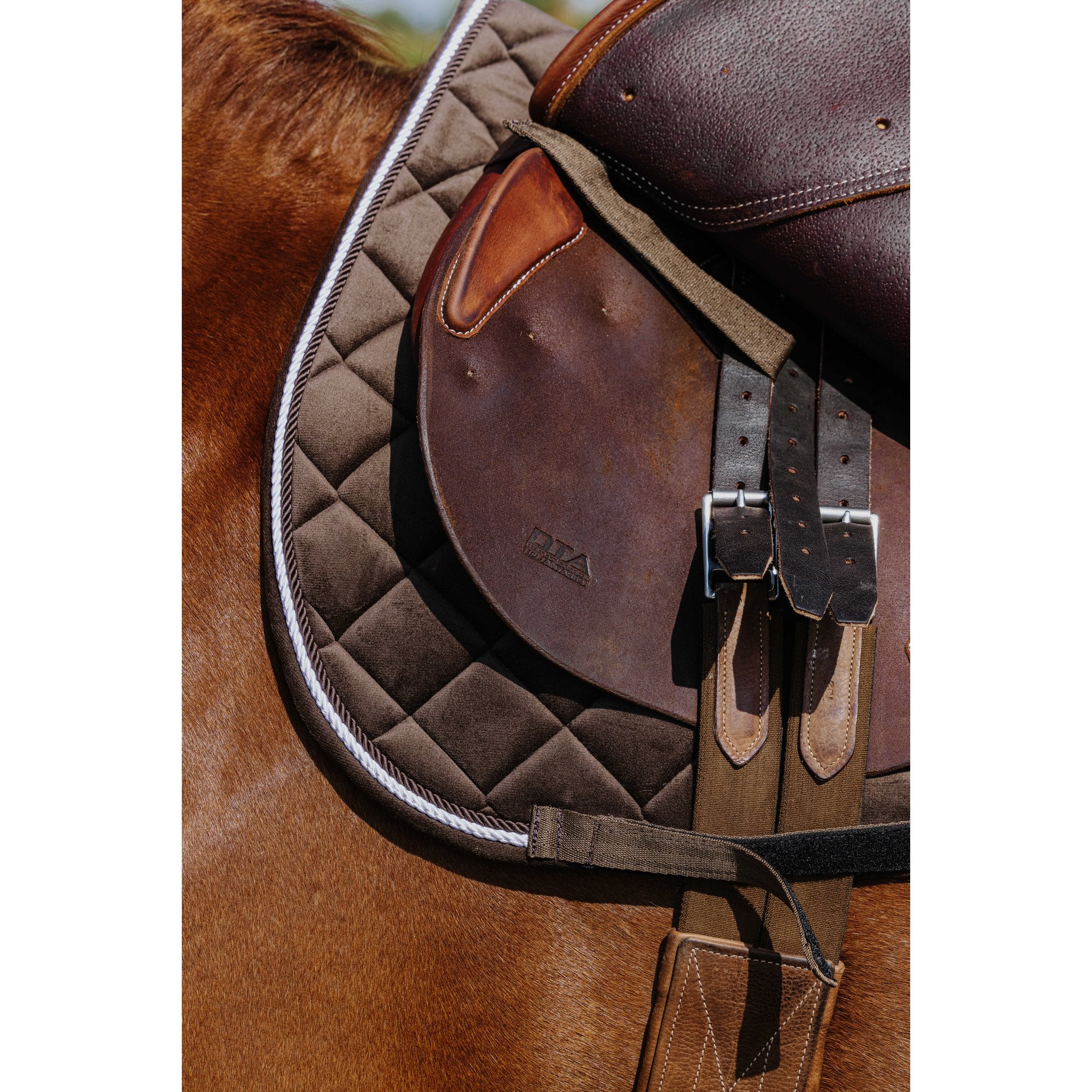 RIDING WORLD Velours Hoppschabrak