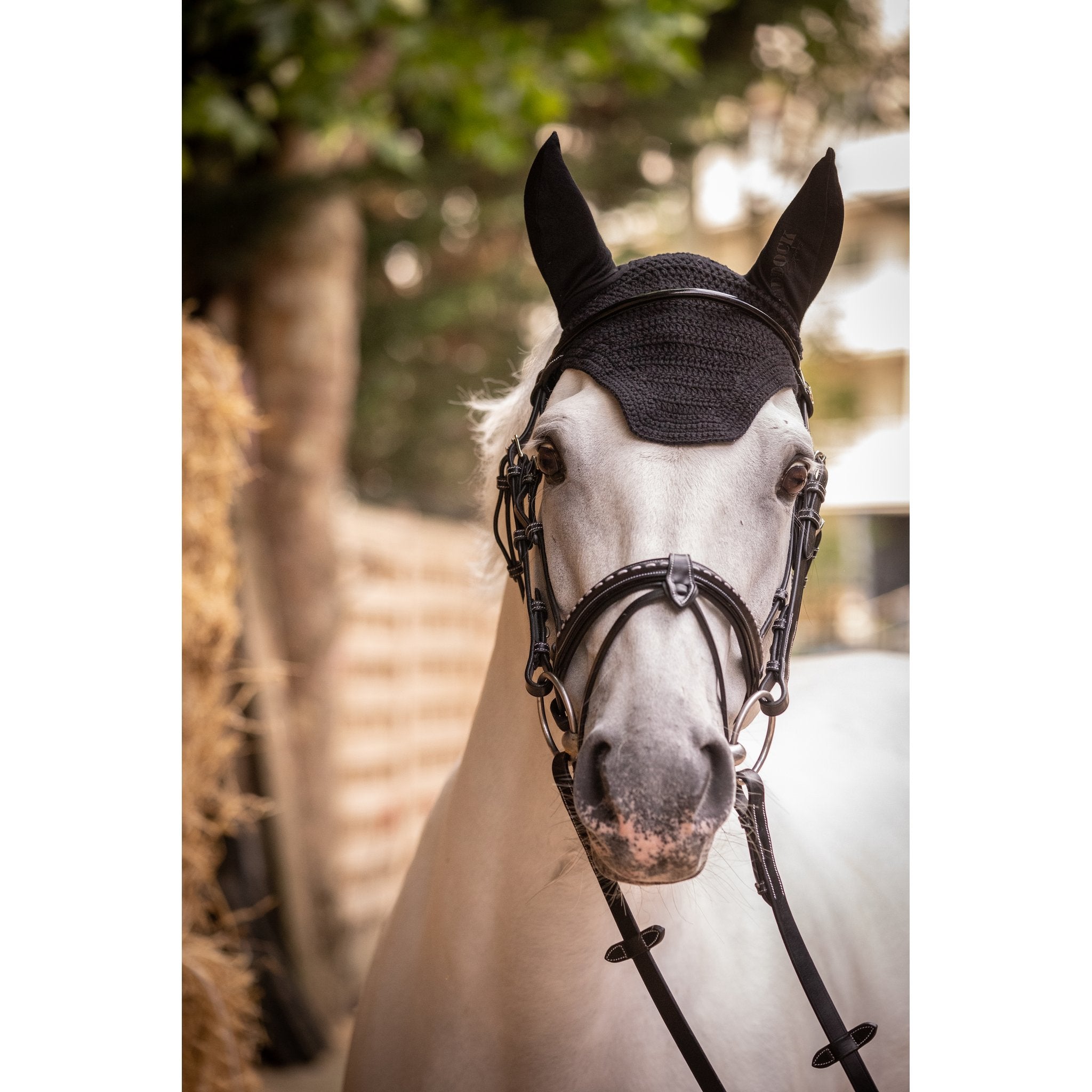 PADDOCK Pro coton luva