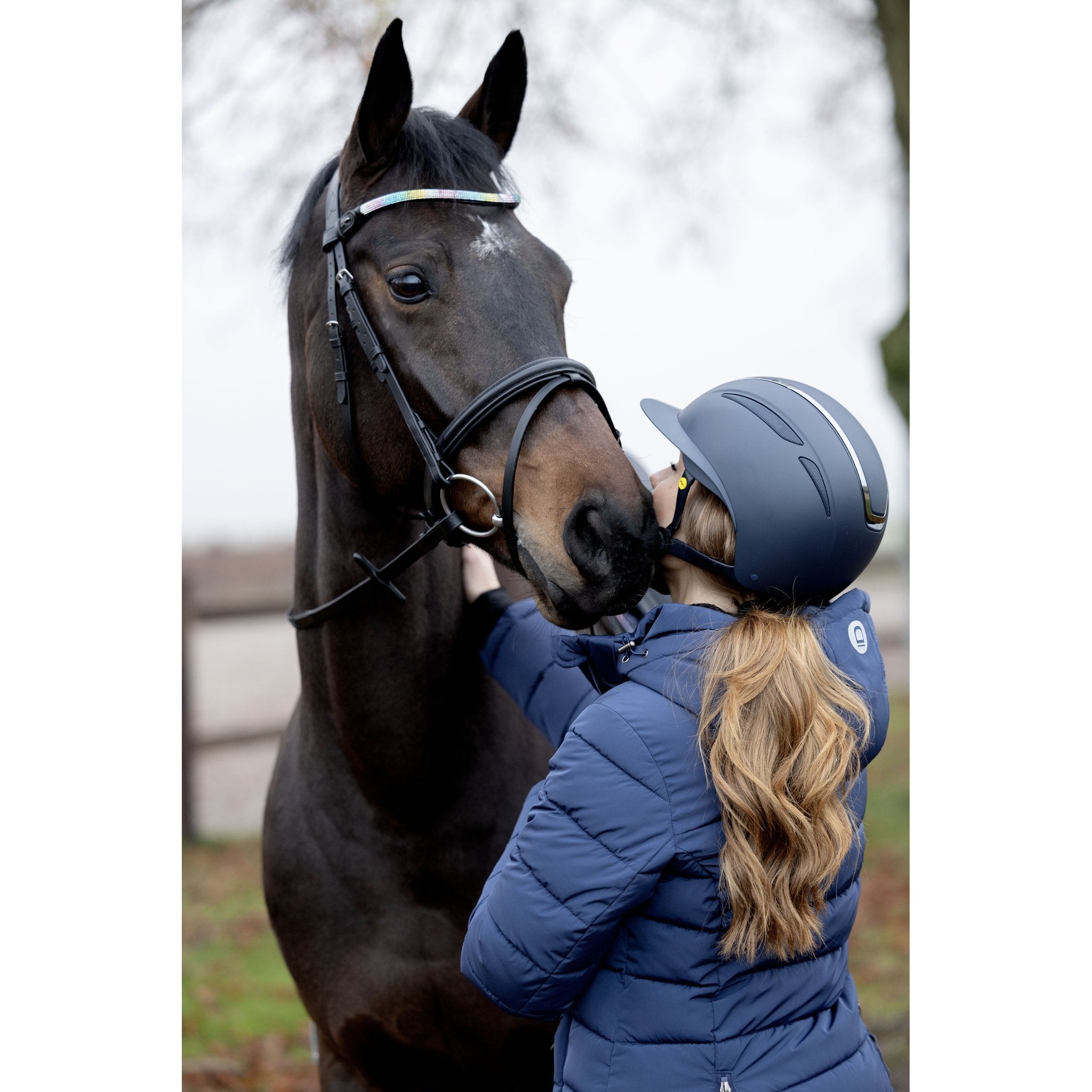 Horse Guard Rainbow pannband