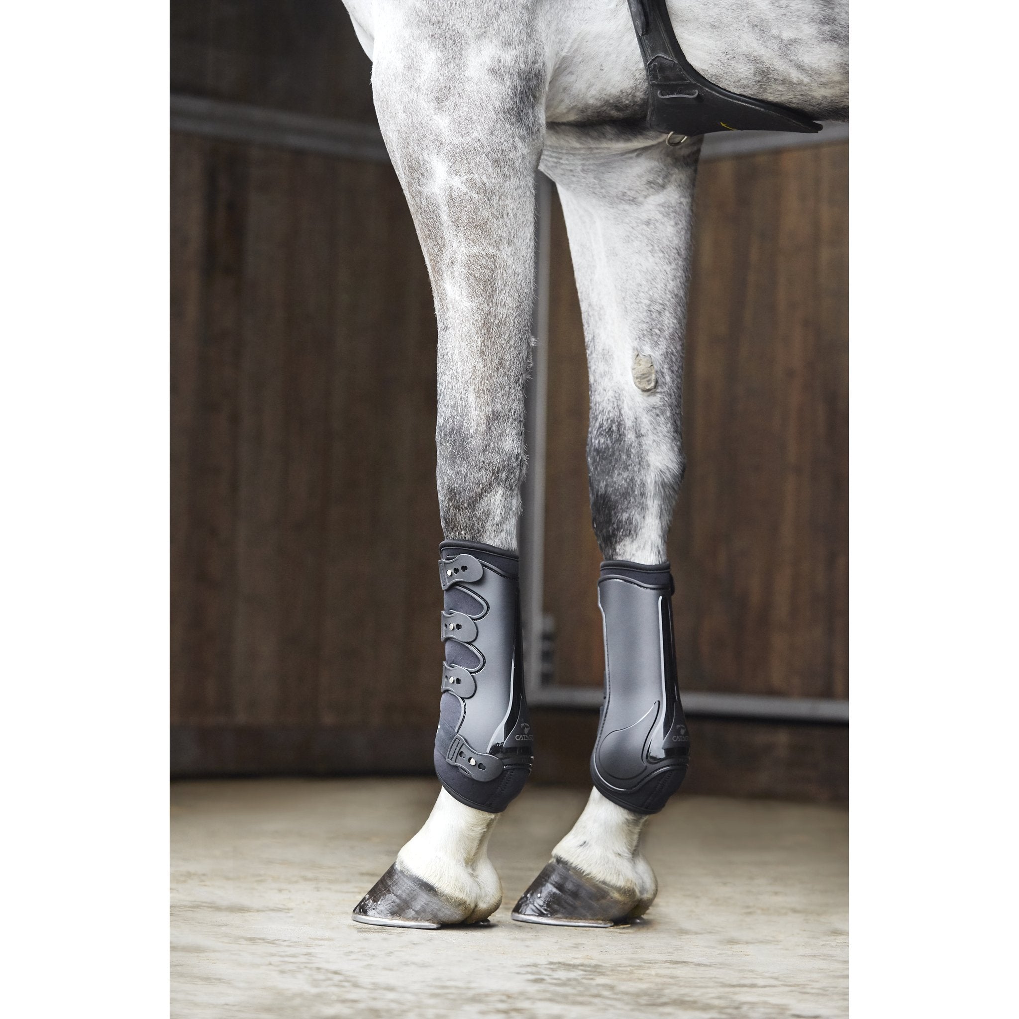 CATAGO Hybrid dressyrskydd