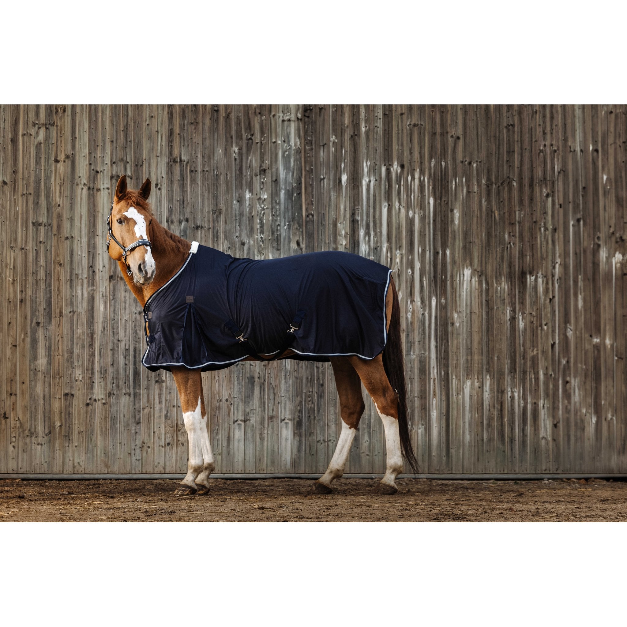 Equithème Micro Mesh Täcke