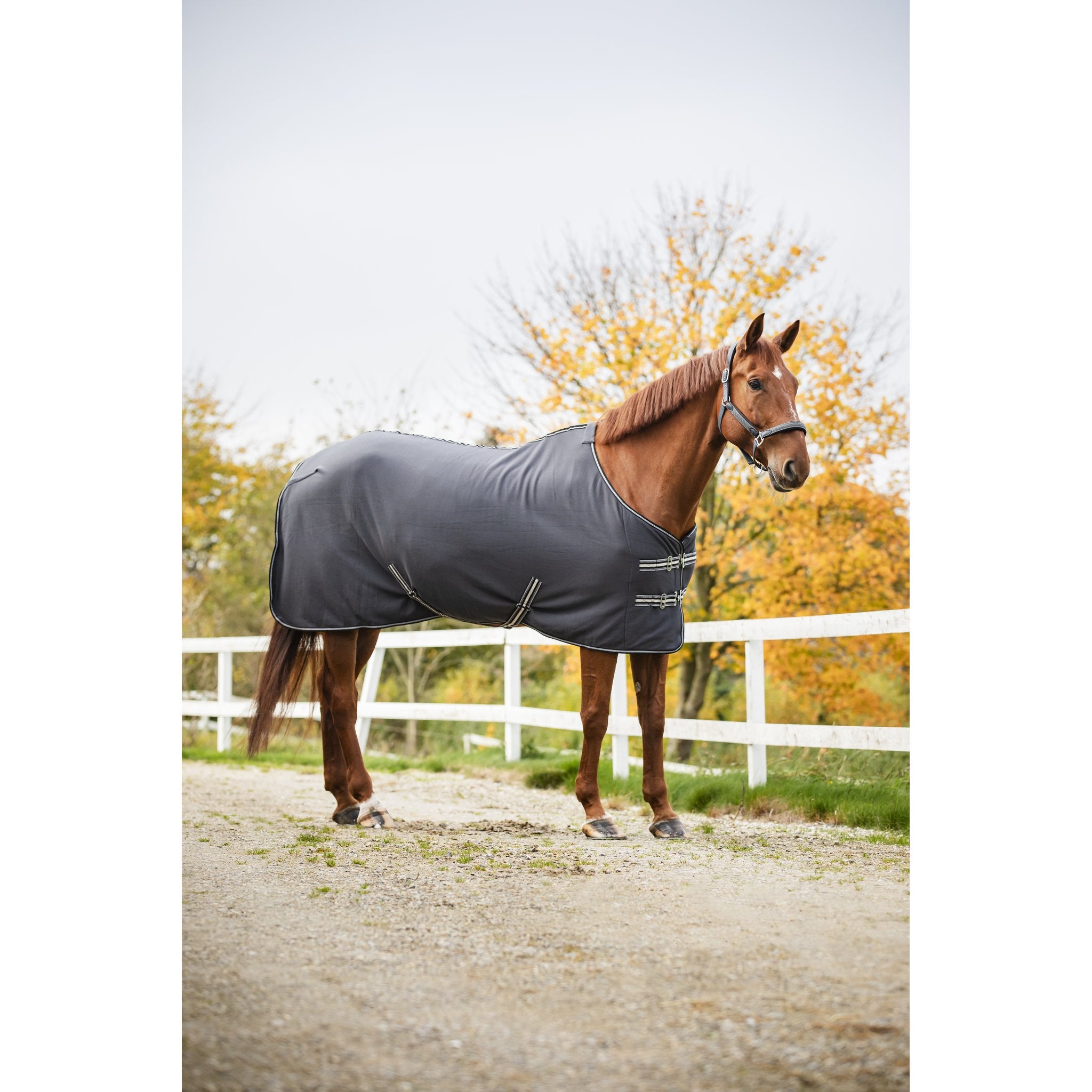 HorseGuard Jersey Cooler täcke