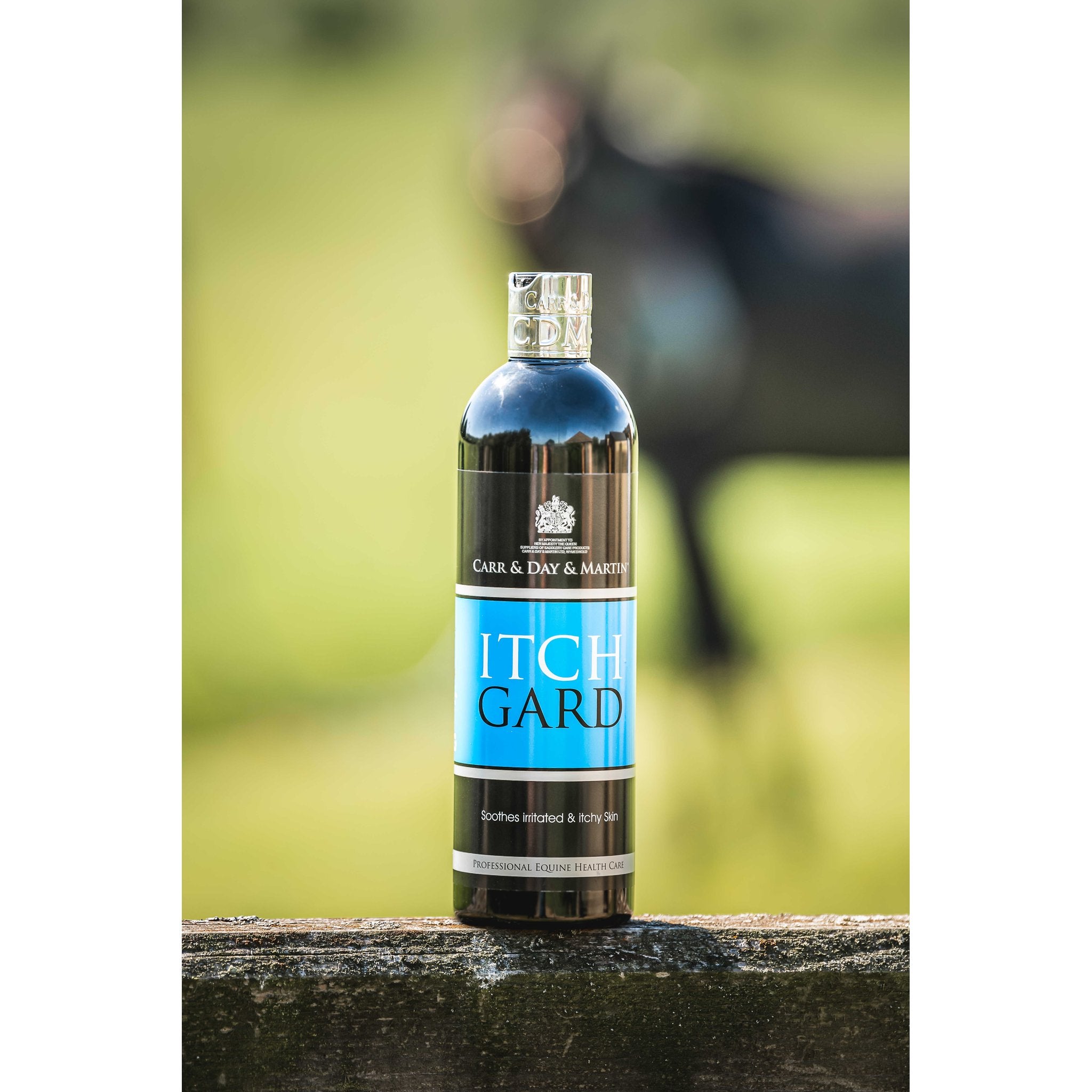 CARR & DAY & MARTIN Itchgard Lotion