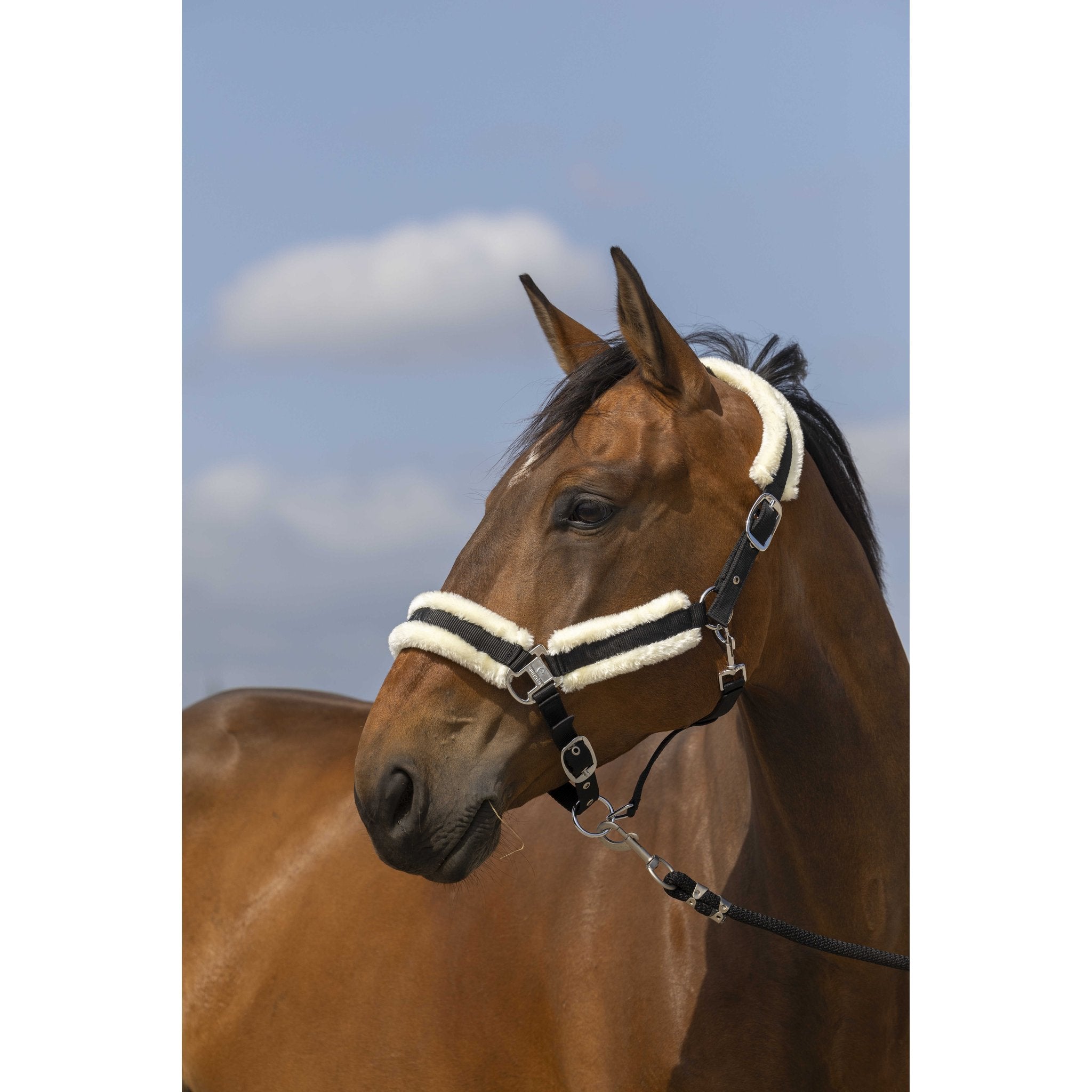 Equithème Nylon Mouton Grimma