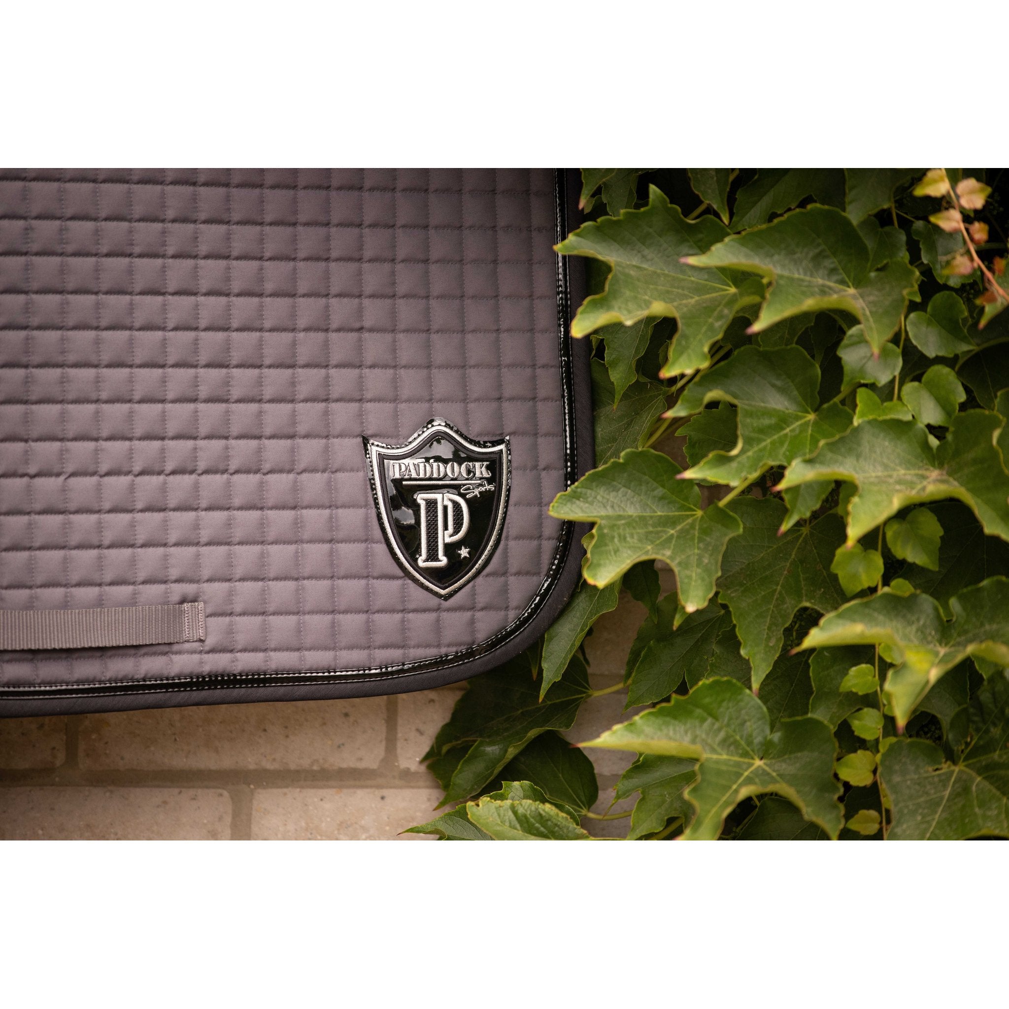 PADDOCK American dressage schabrak