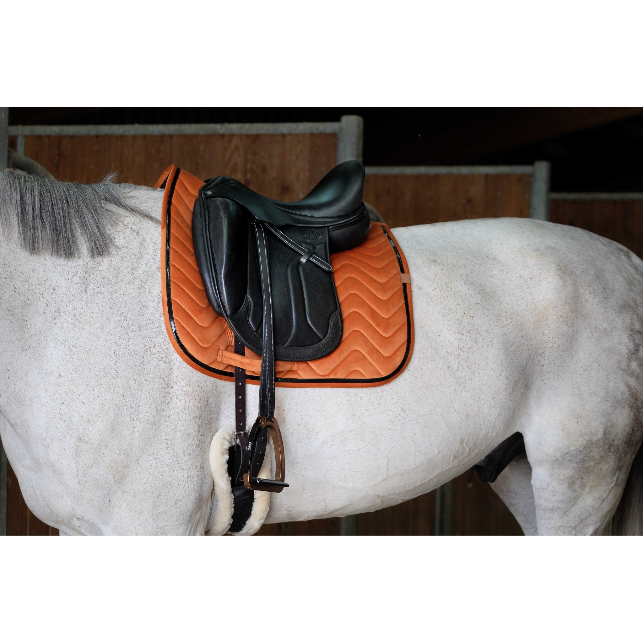 Equithème Glossy Schabrak Dr