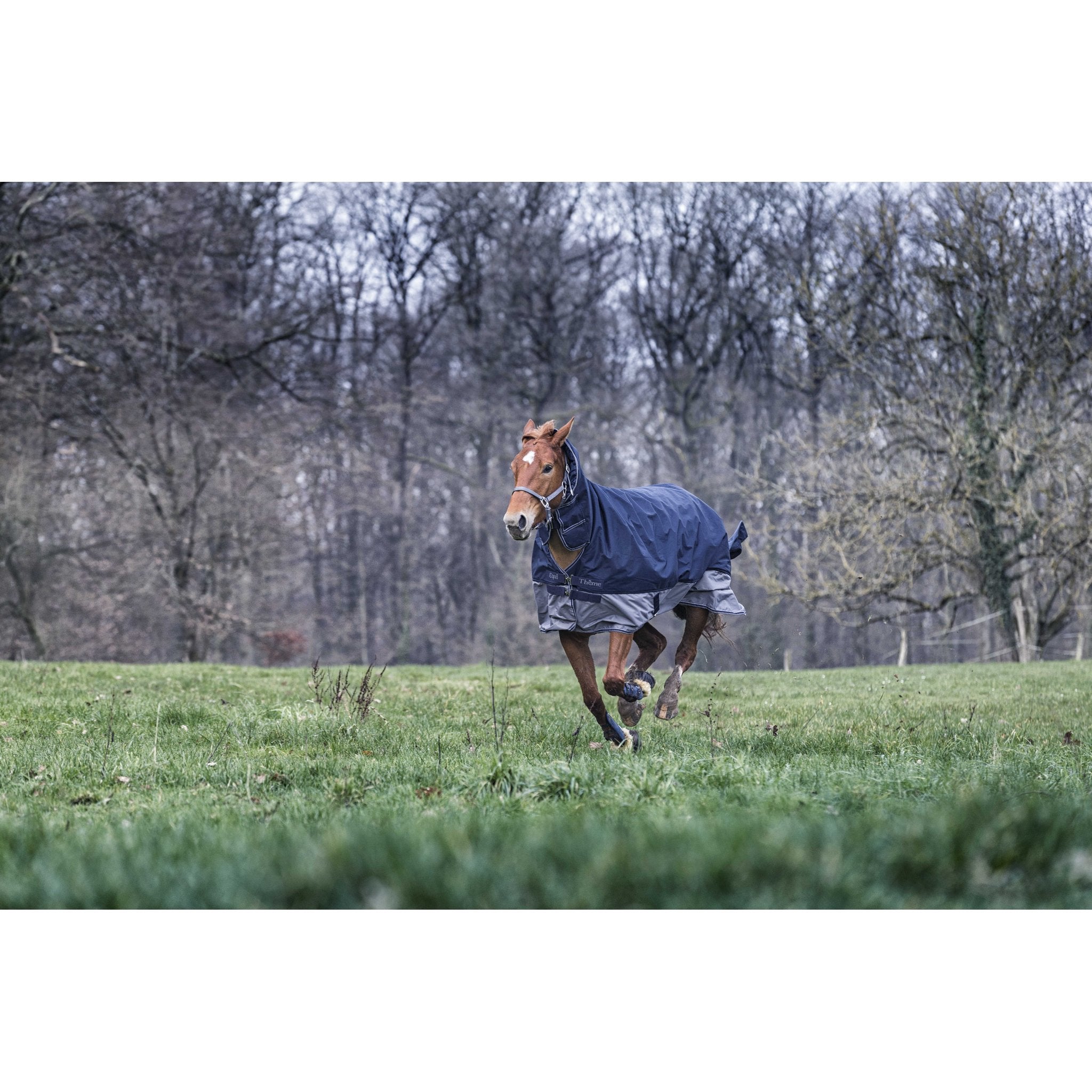 Equithème TYREX 600D Combo utetäcke 350 g