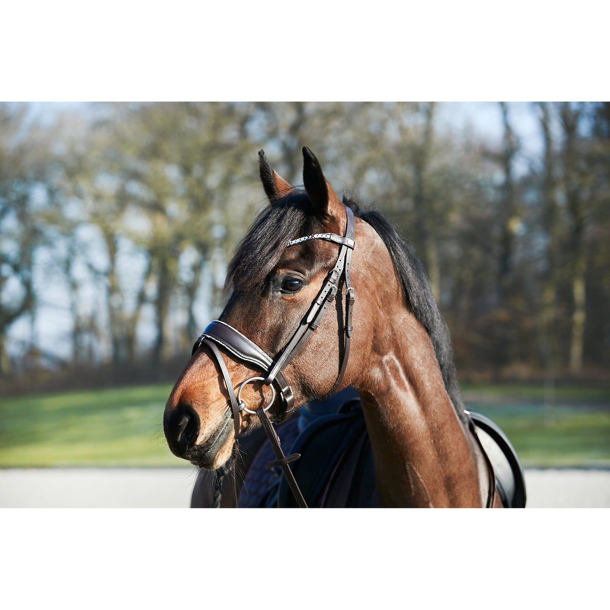 HorseGuard Cryll 23.2 CRYSTAL träns