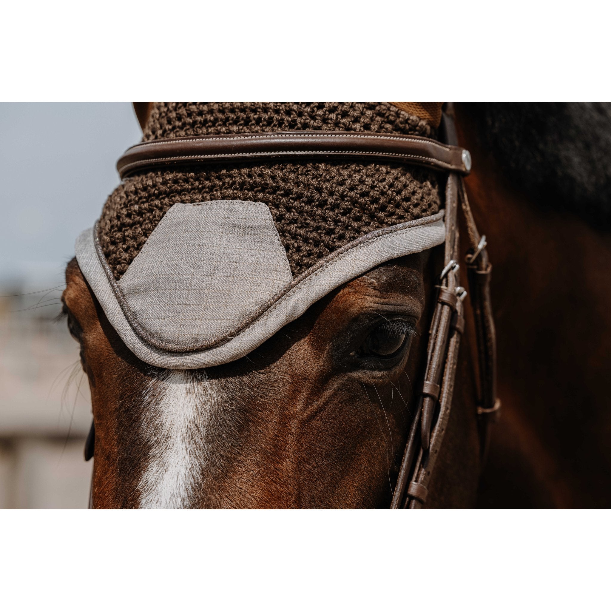 Equithème Chic Luva