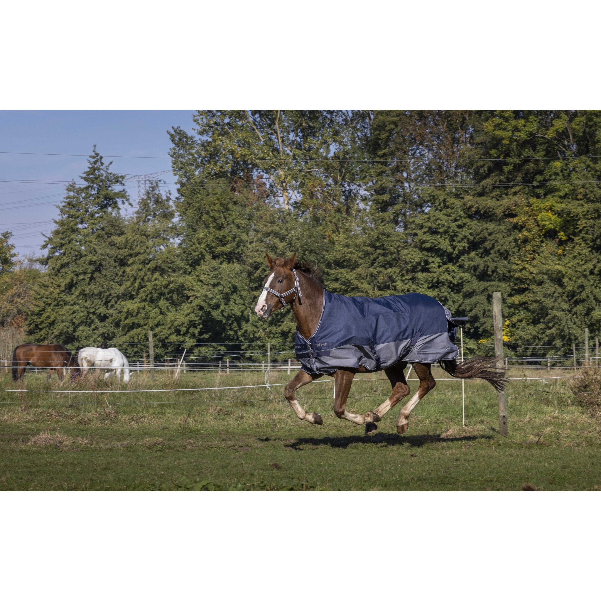 Equithème TYREX 600D Turnout täcke med fleecefoder