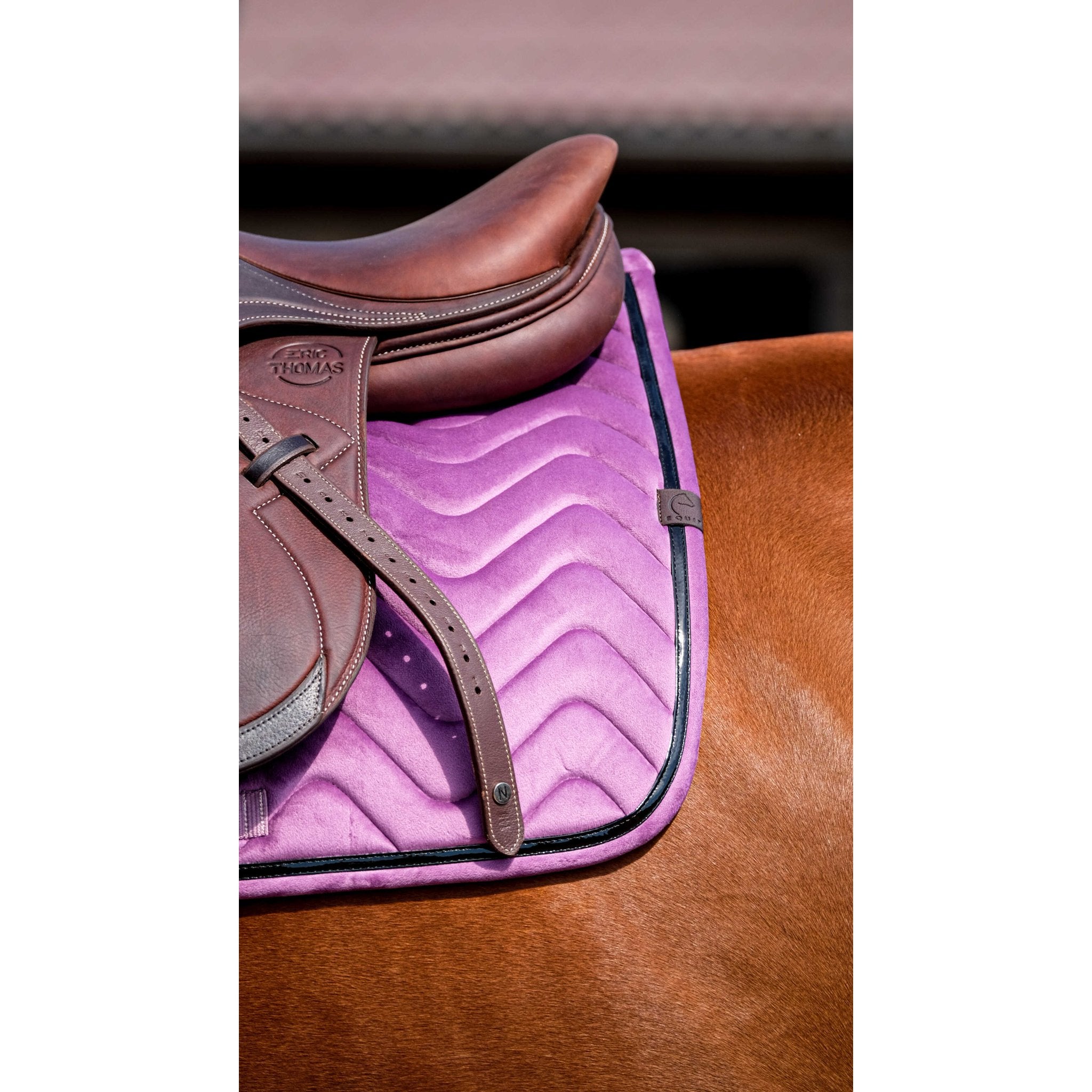 Equithème Glossy Schabrak