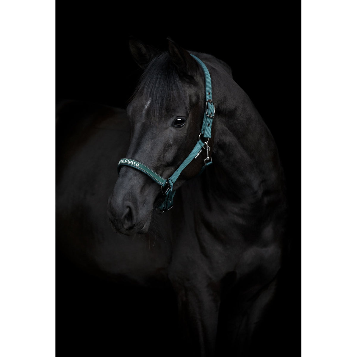 HorseGuard Sandra grimma