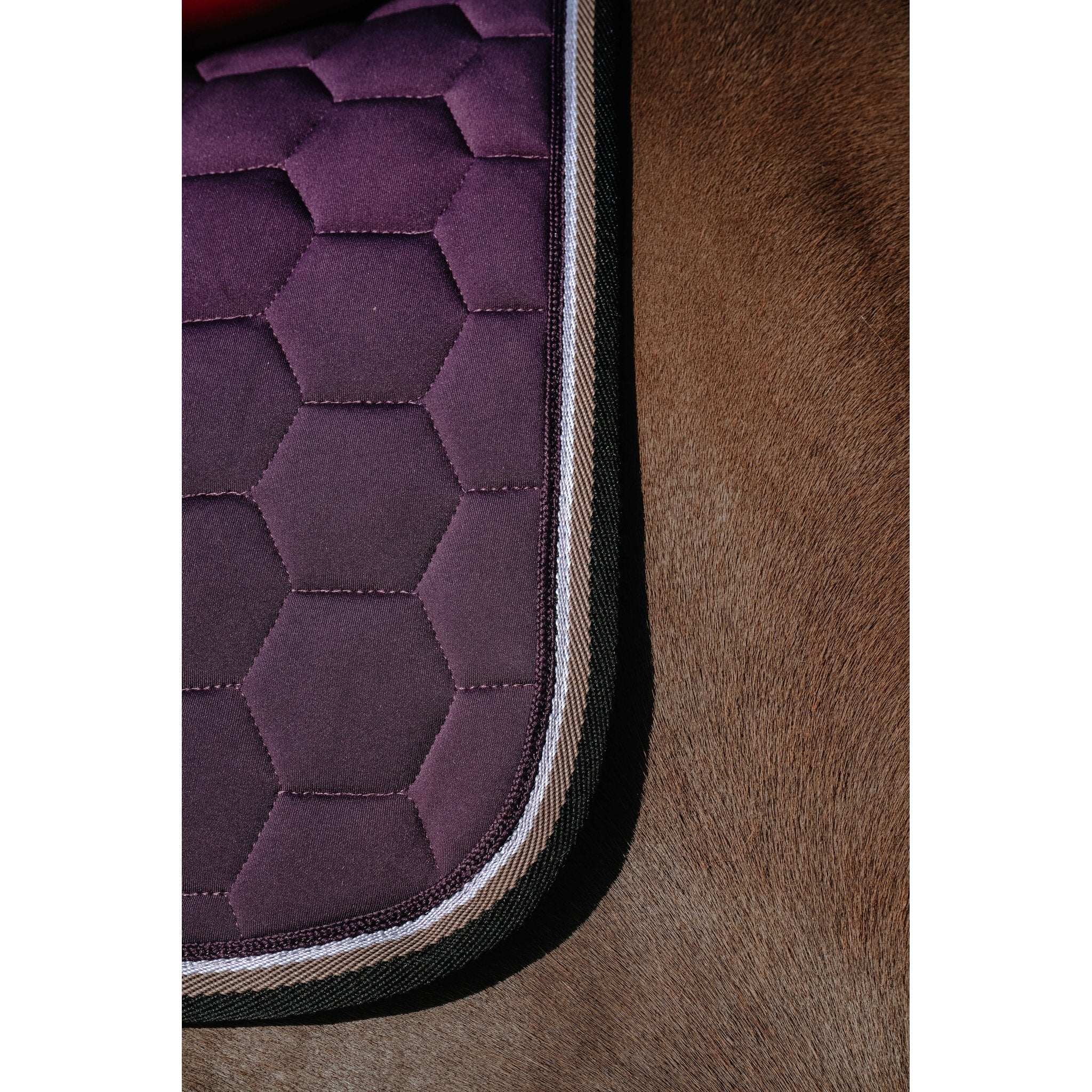 Equitheme Coco schabrak