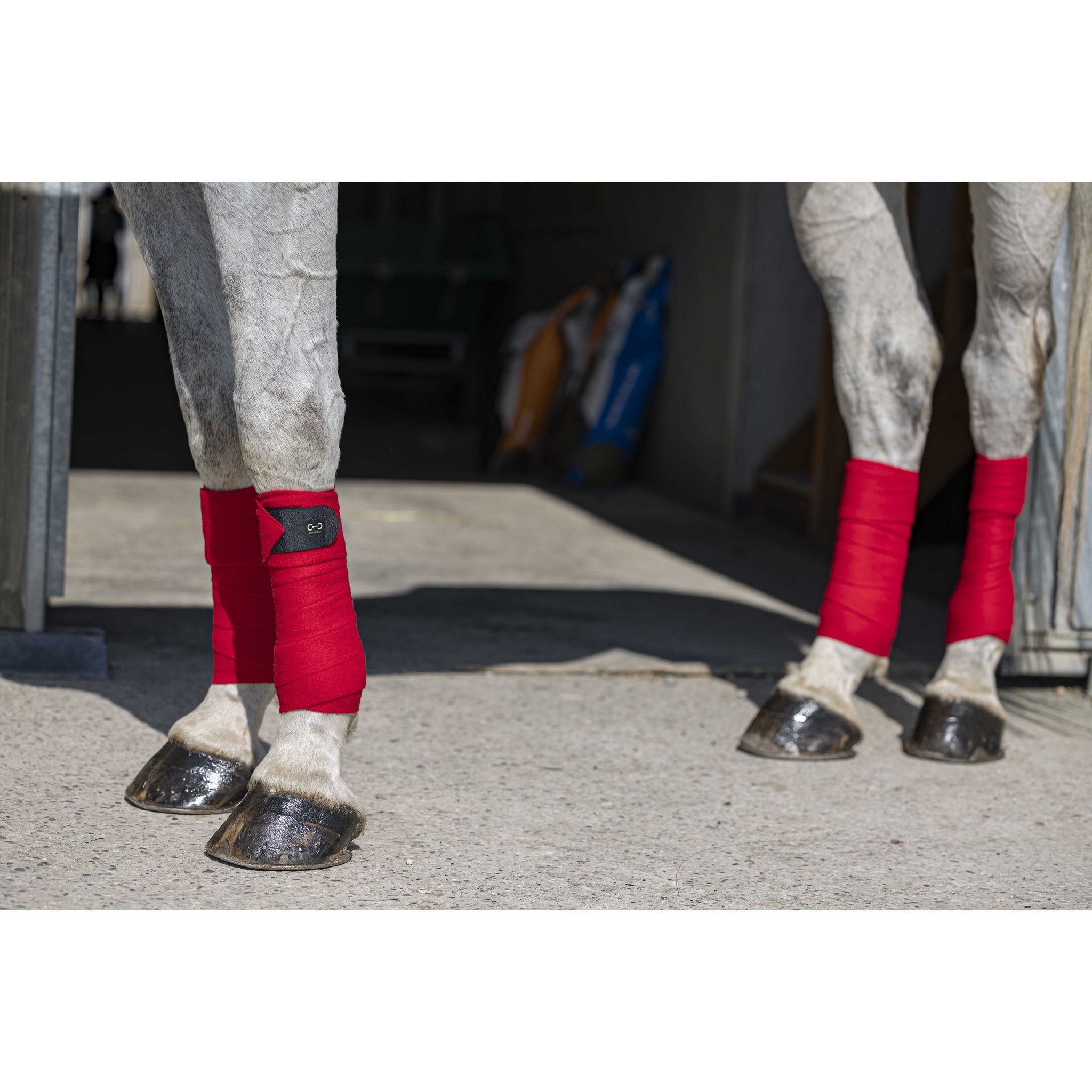 Riding World Eco Benlindor