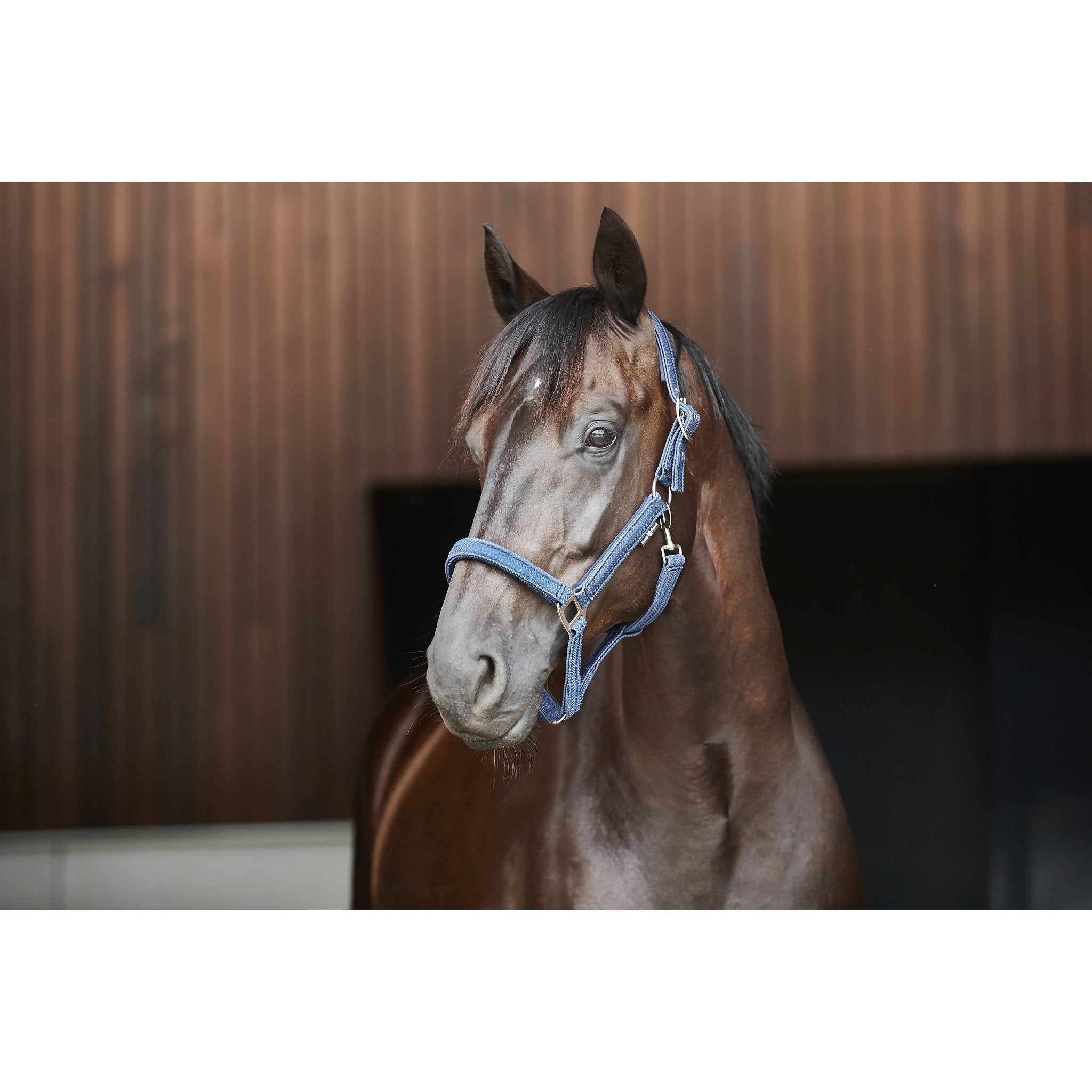 HorseGuard Jewel grimma