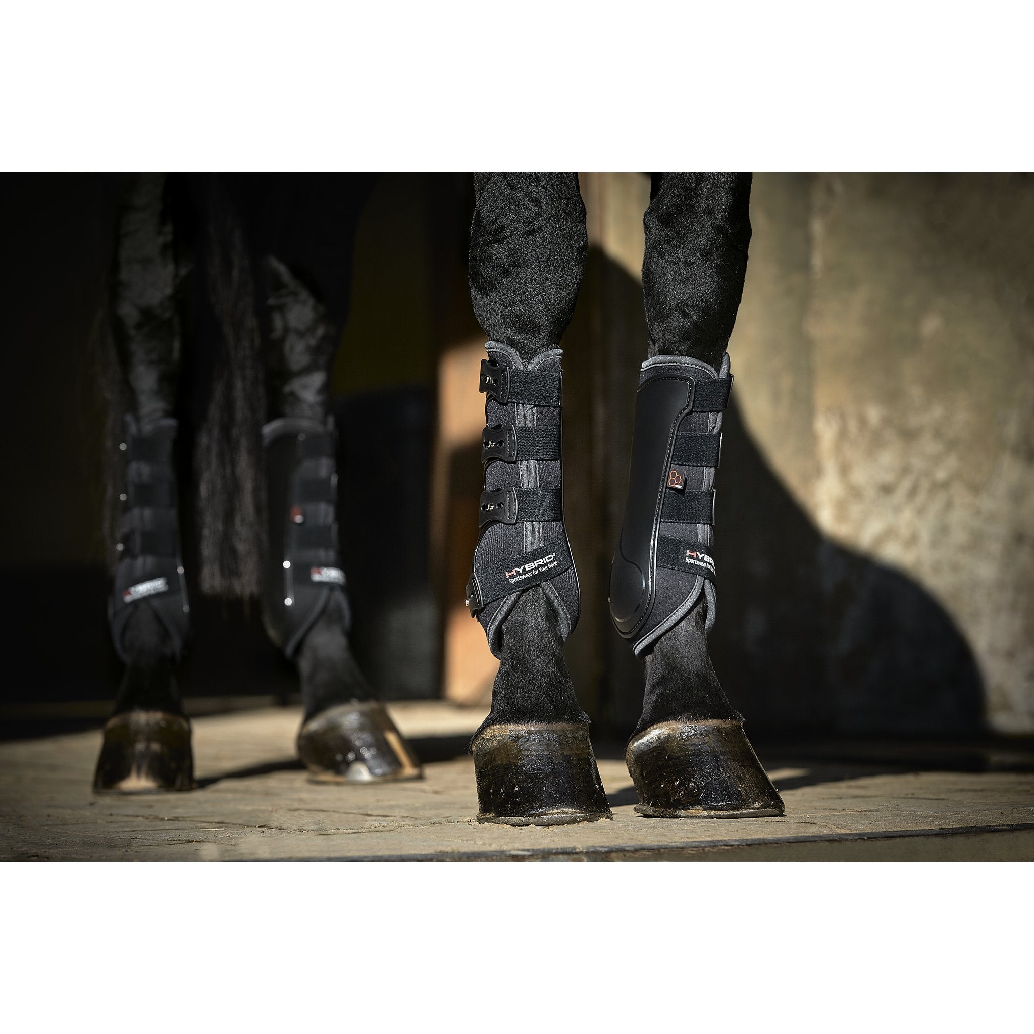 CATAGO Hybrid dressyrskydd