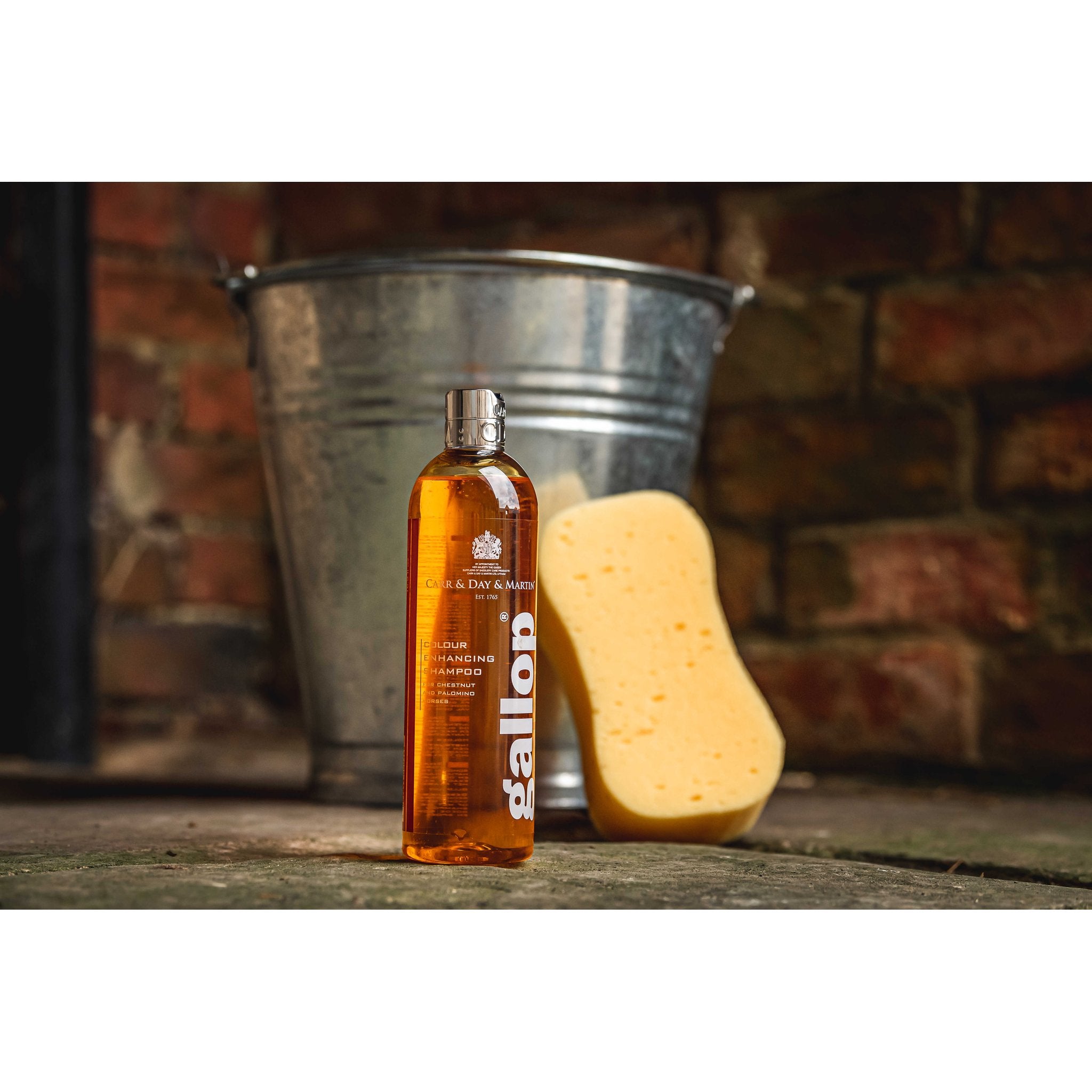 CARR & DAY & MARTIN Shampoo Gallop Hazelnut and Palomino Horses