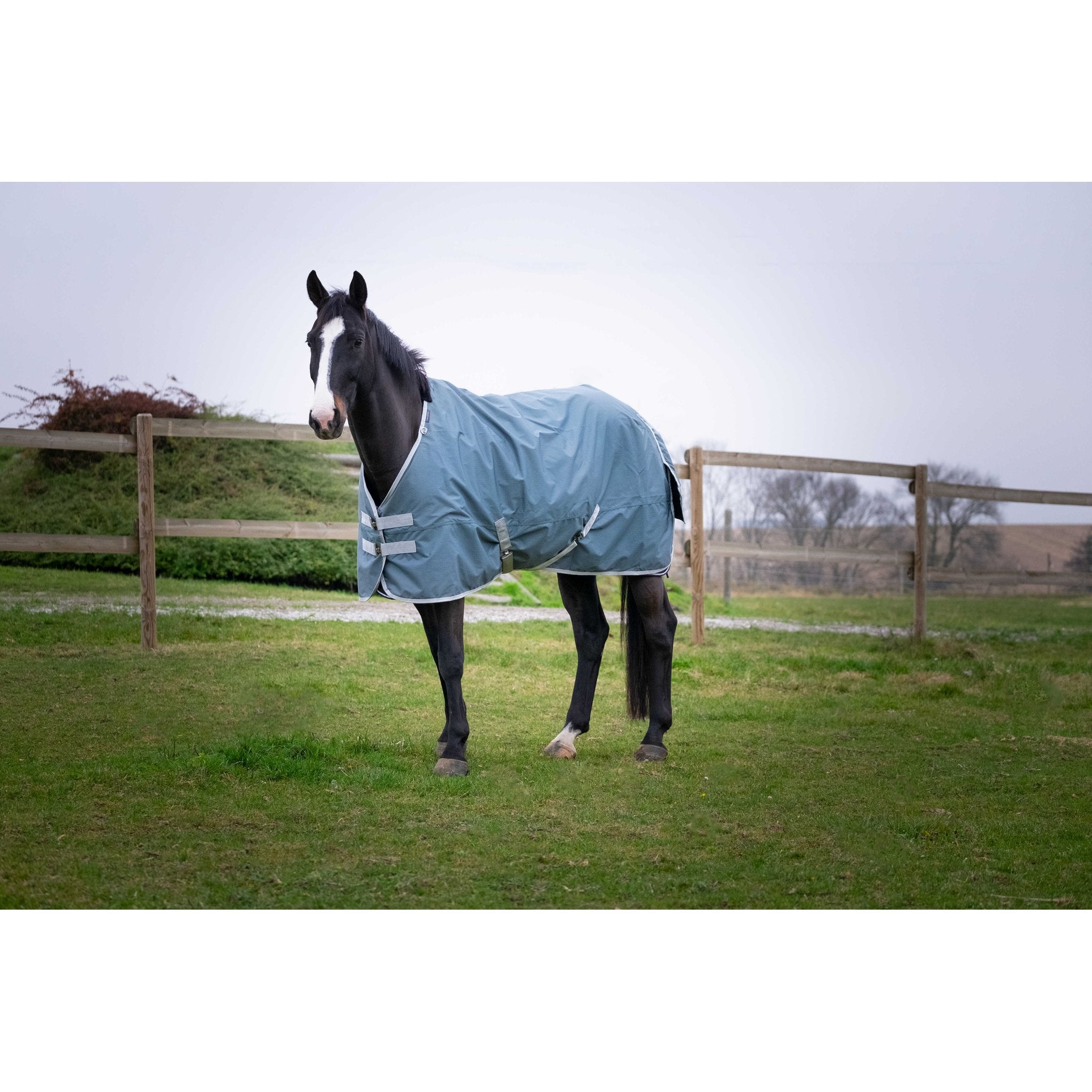 Equithème TYREX 600D återvunnet utetäcke 300 g