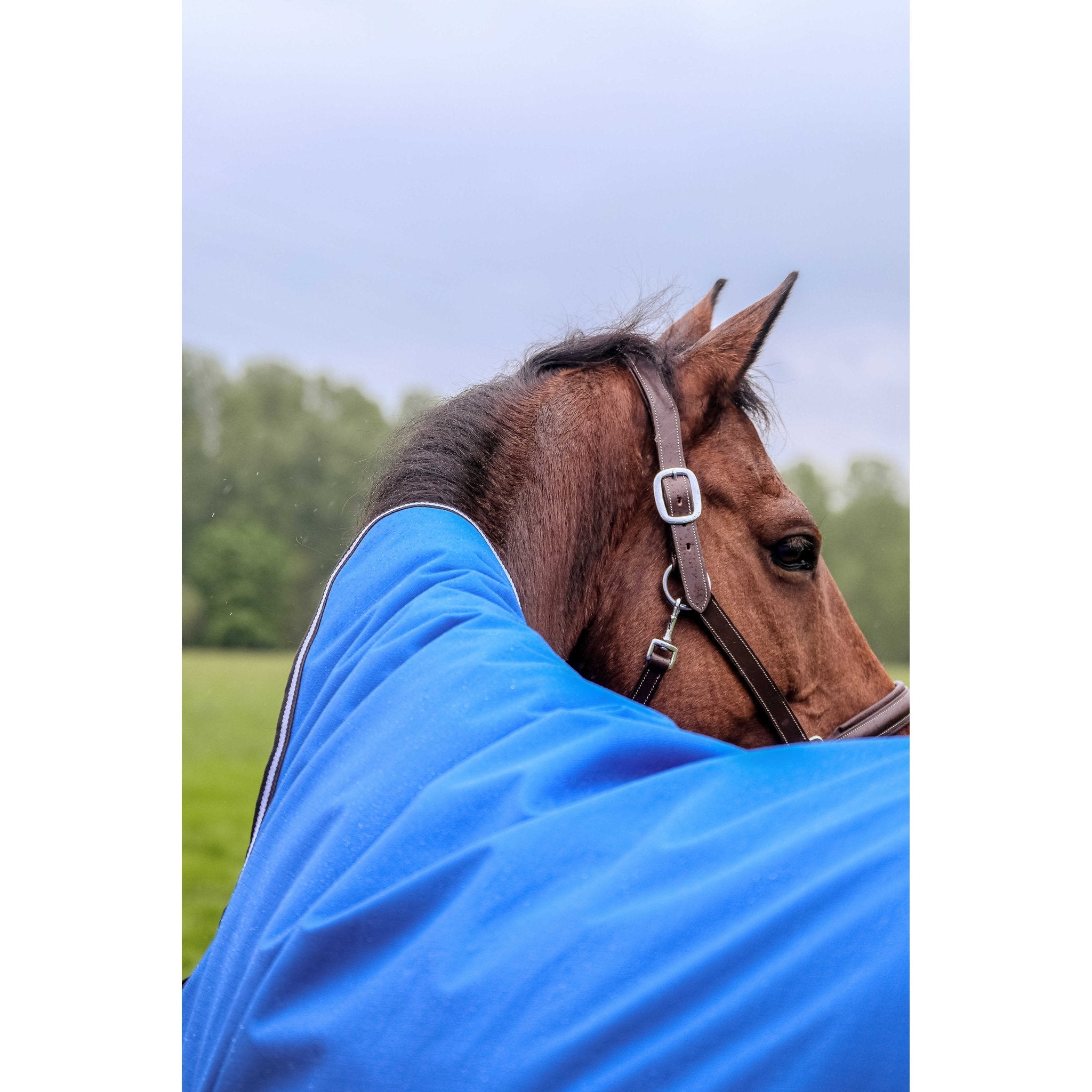 Equithème TYREX Aisance 1200D hög hals täcke 300 g