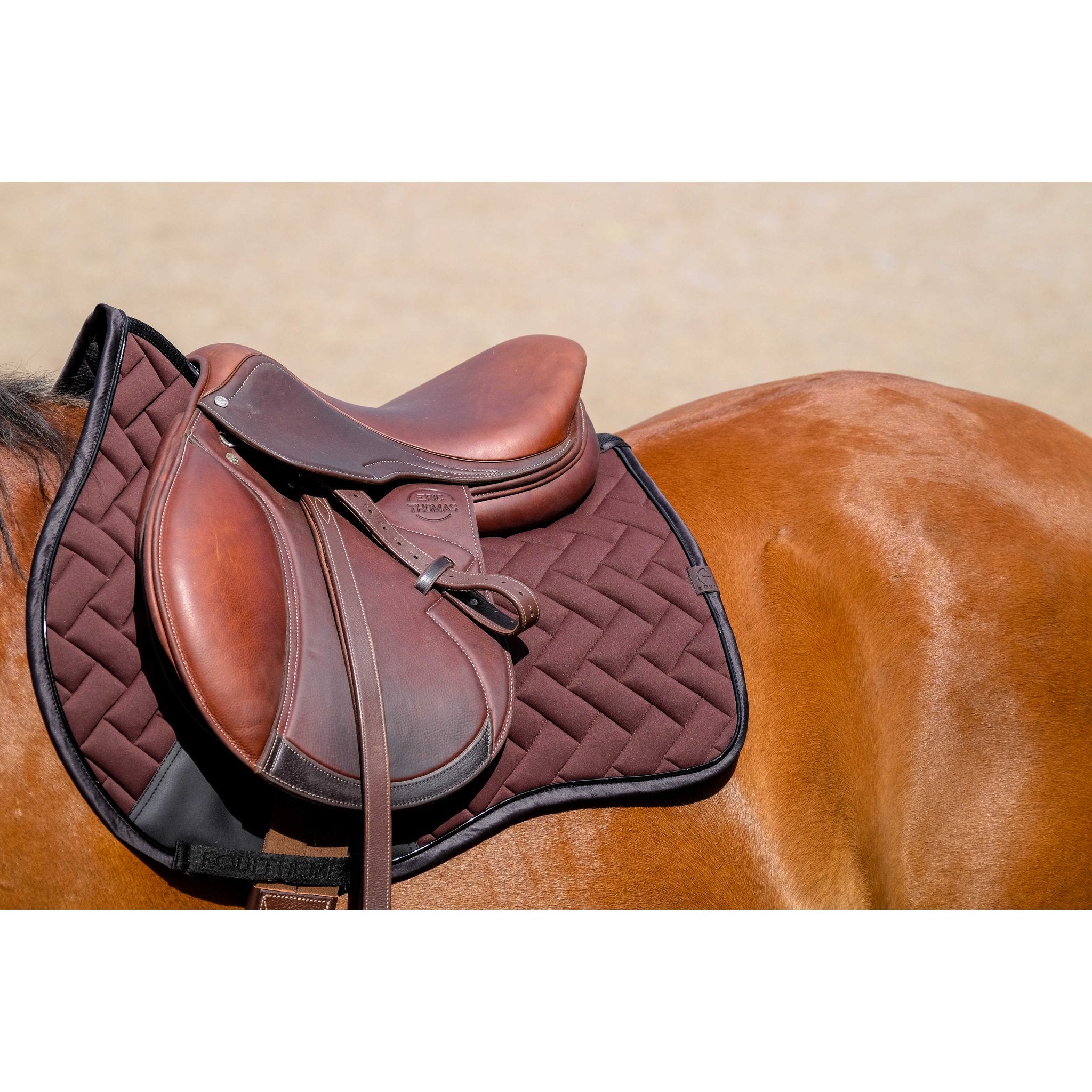 Equithème Impulsion Schabrak