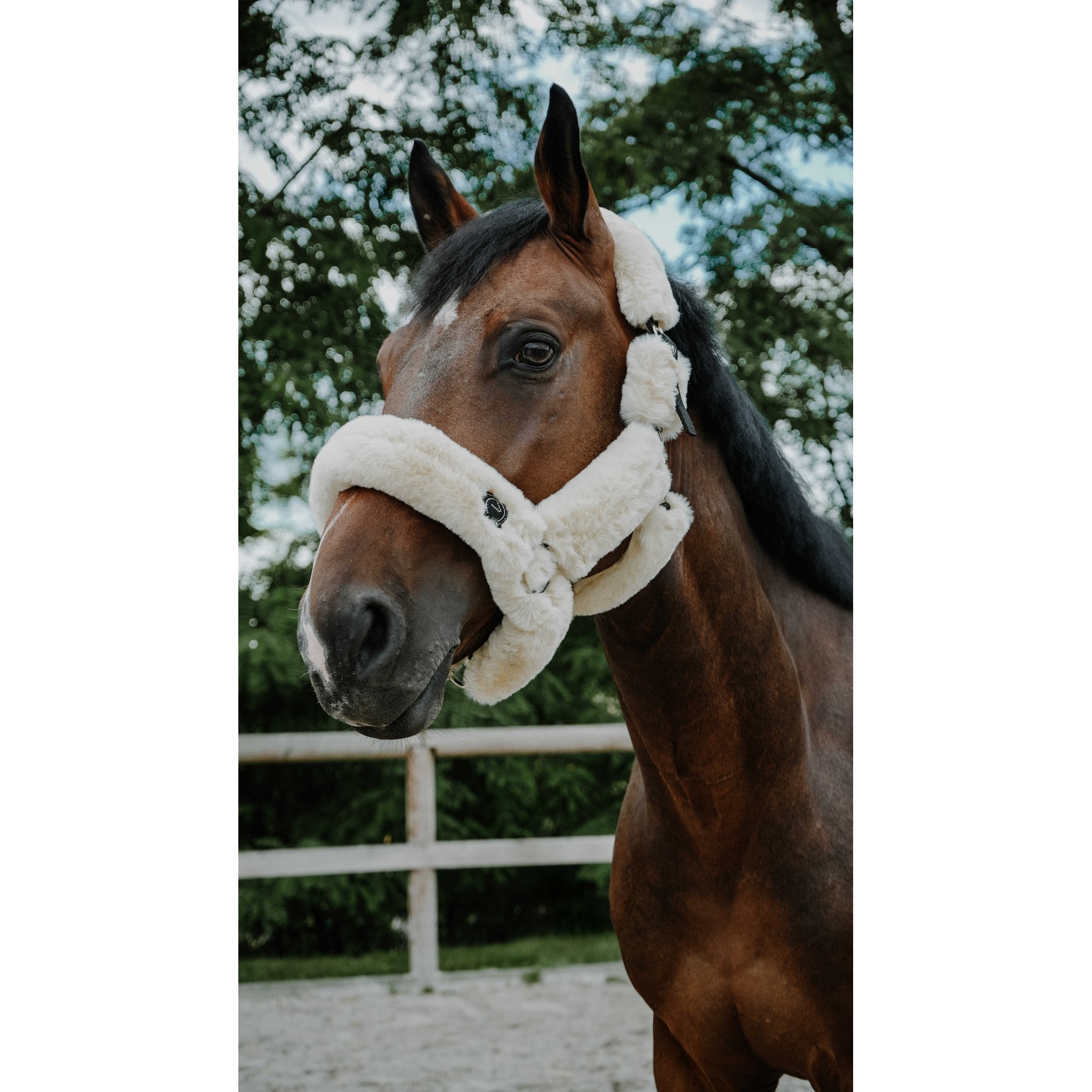 Equitheme Je t'aime Snuggy grimma