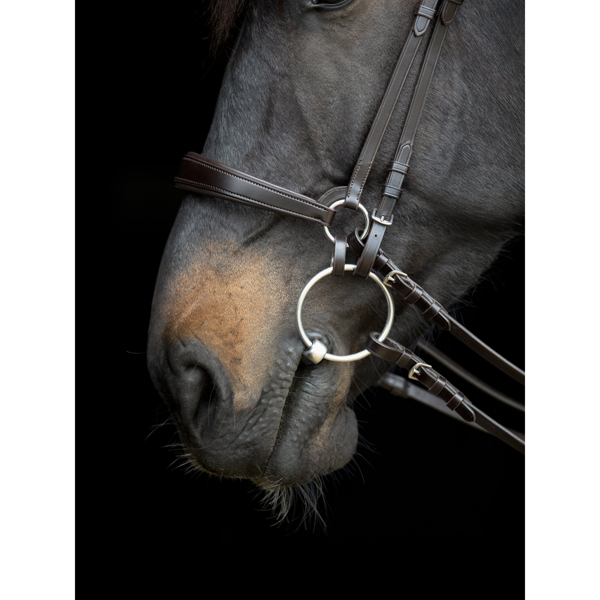 CATAGO Gentle connecting rings