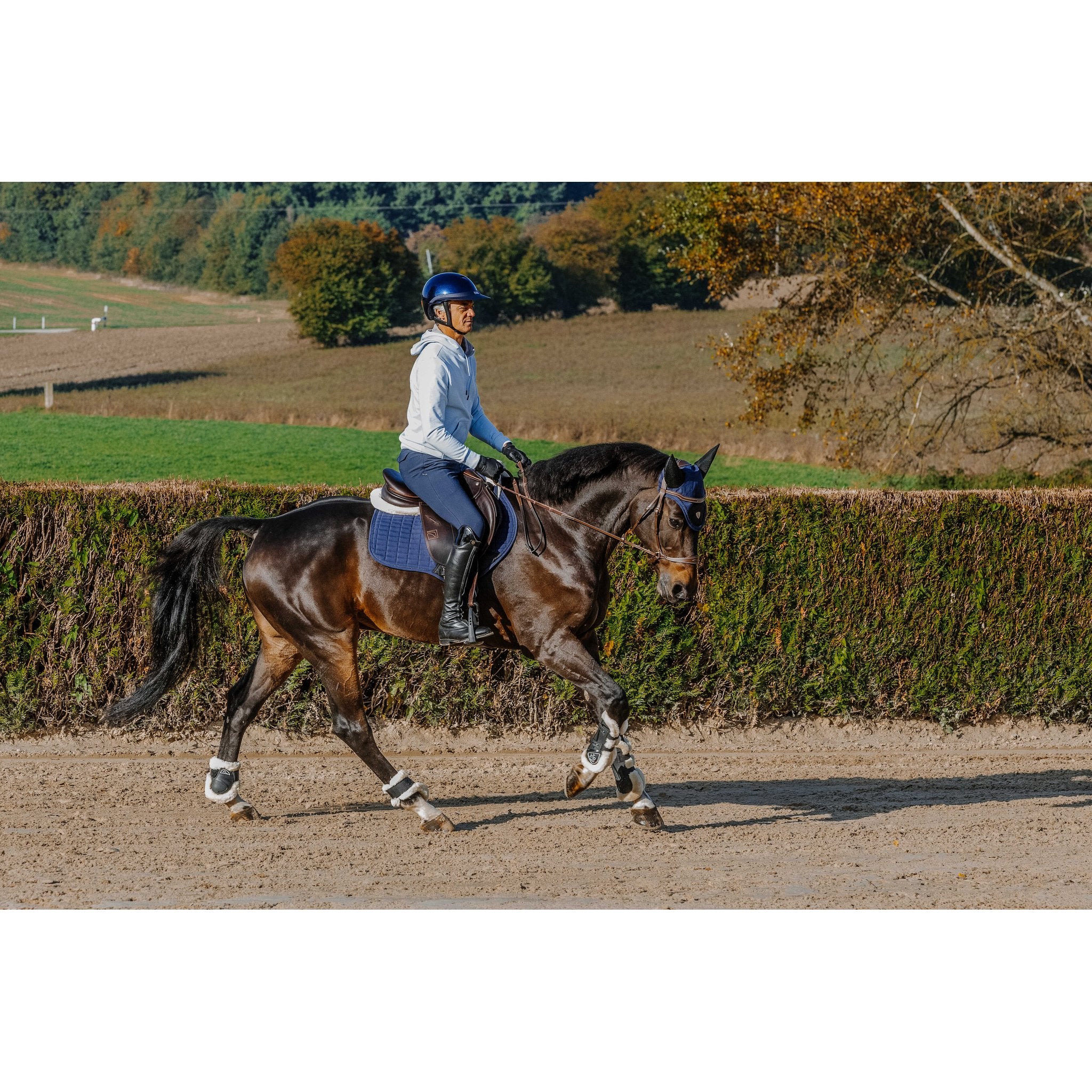 Equitheme Hoddie unisex Axel