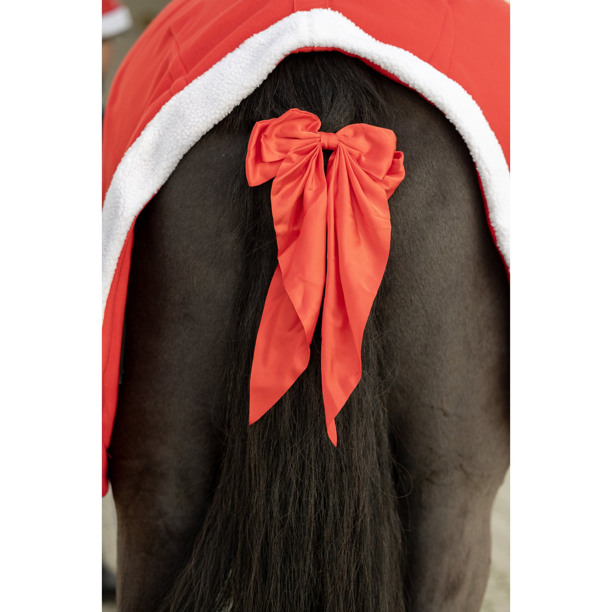 Horse Guard julrosett