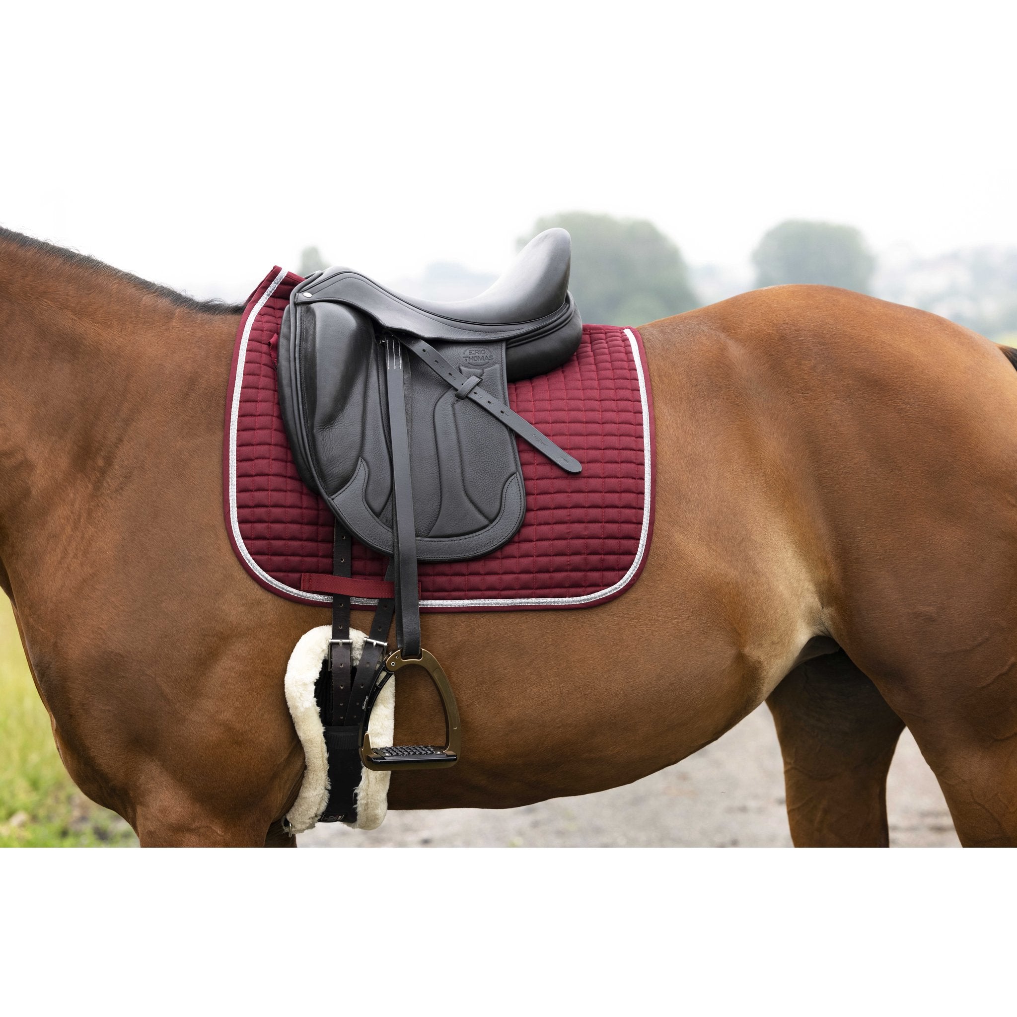 RIDING WORLD Girly Dressyrschabrak