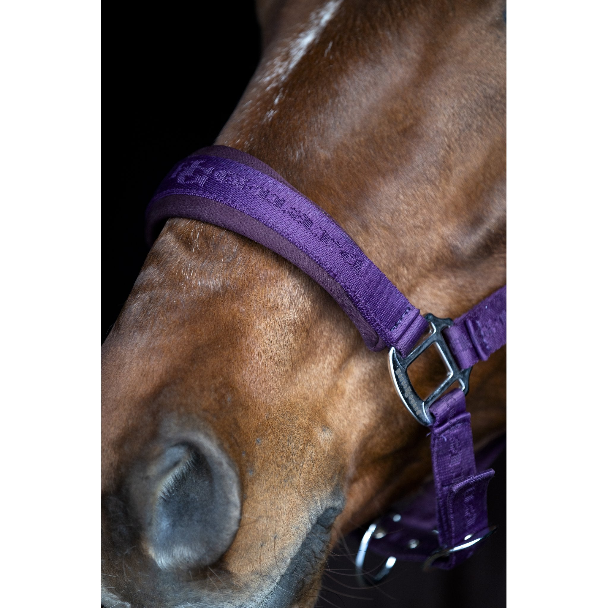 HorseGuard Diya grimma 2.0