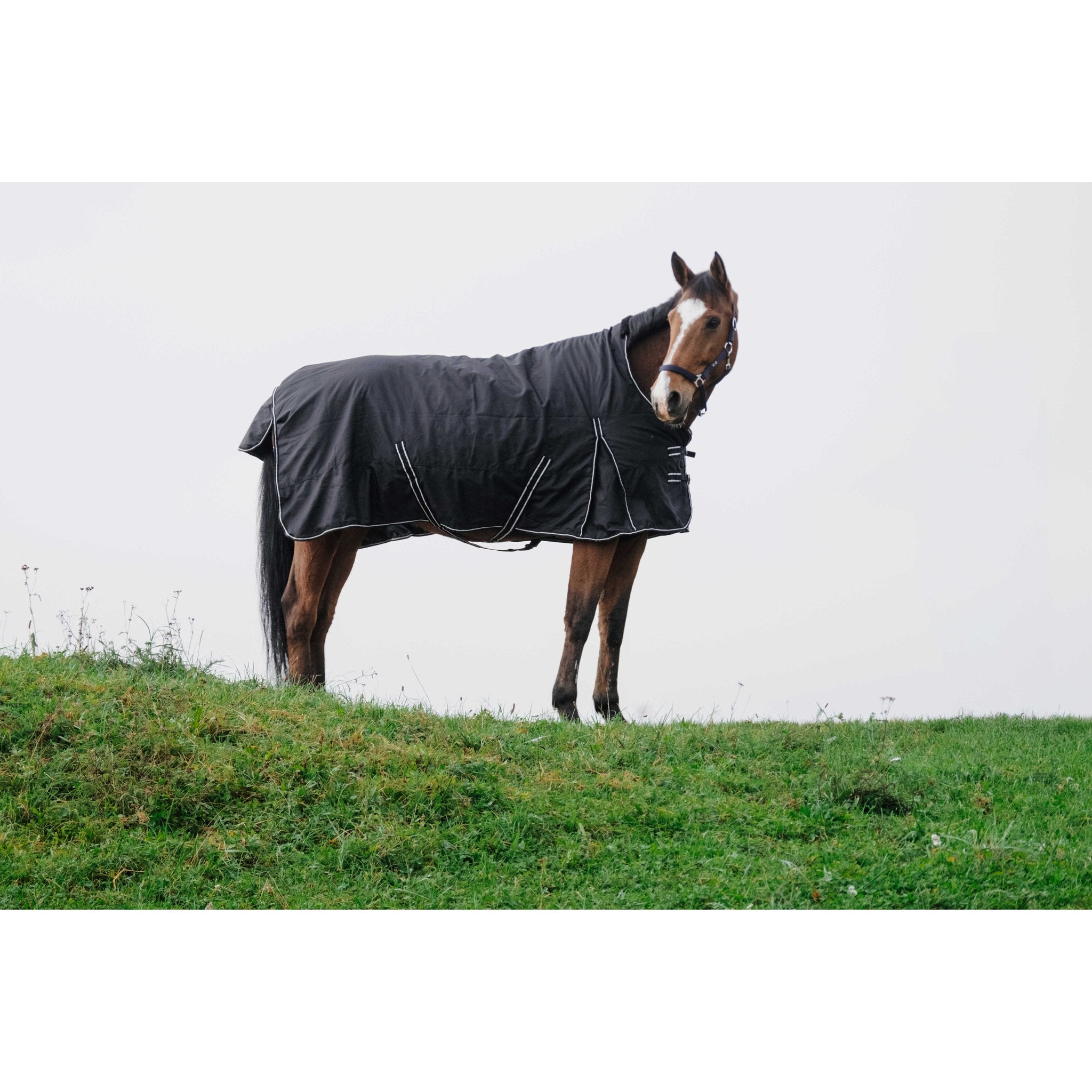 RIDING WORLD - Oxford - Regntäcke 220 g