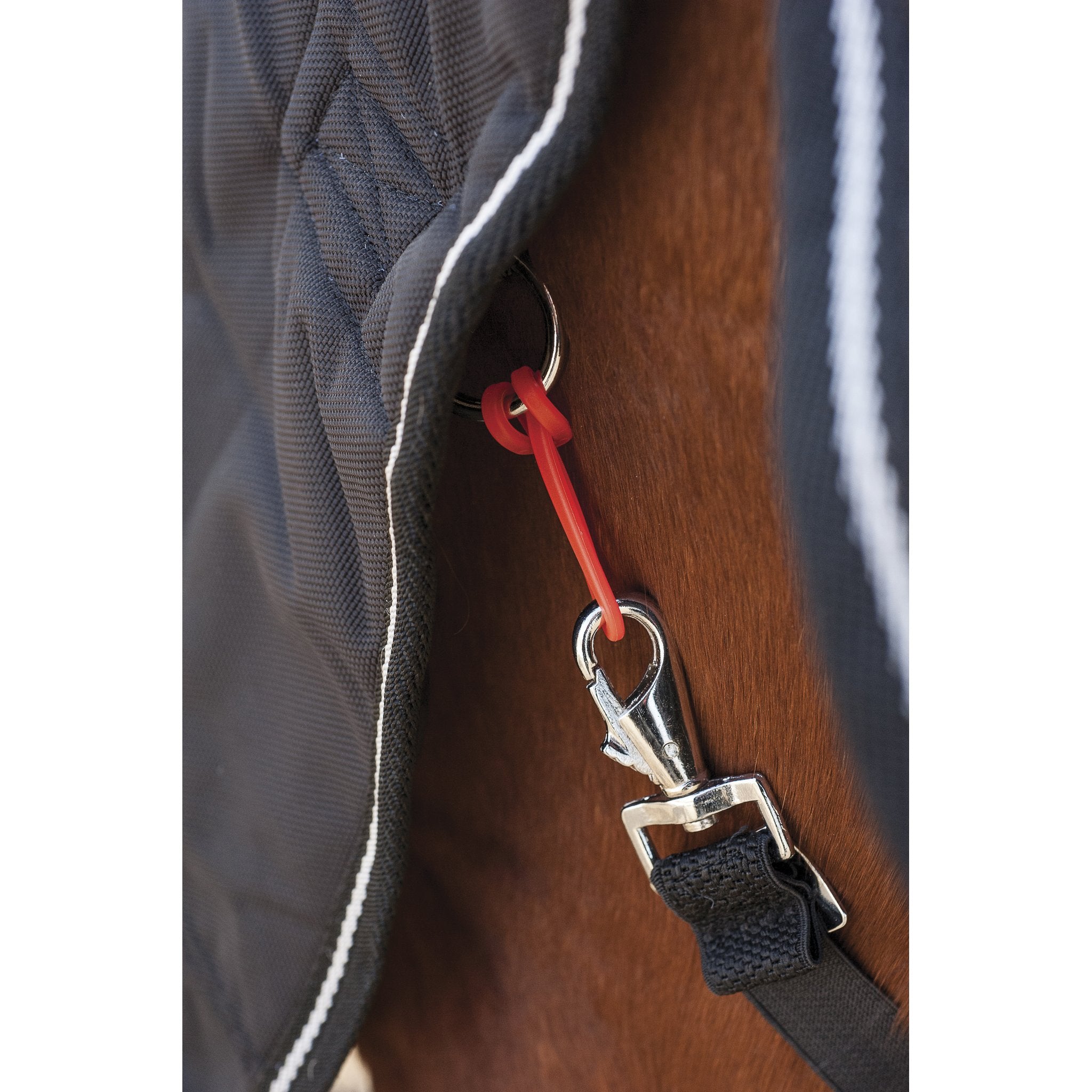 HorseGuard SafeGum